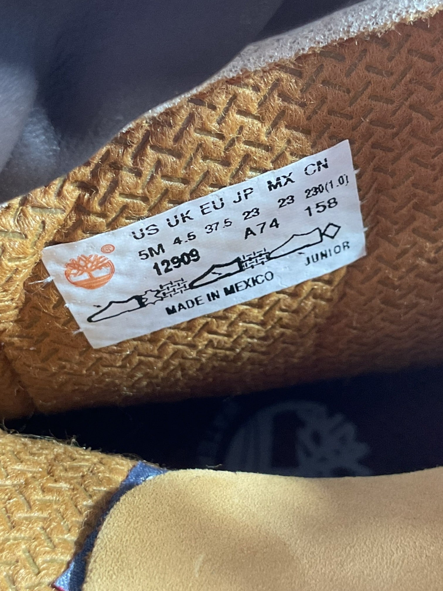 Burros niño 5 (Timberland)