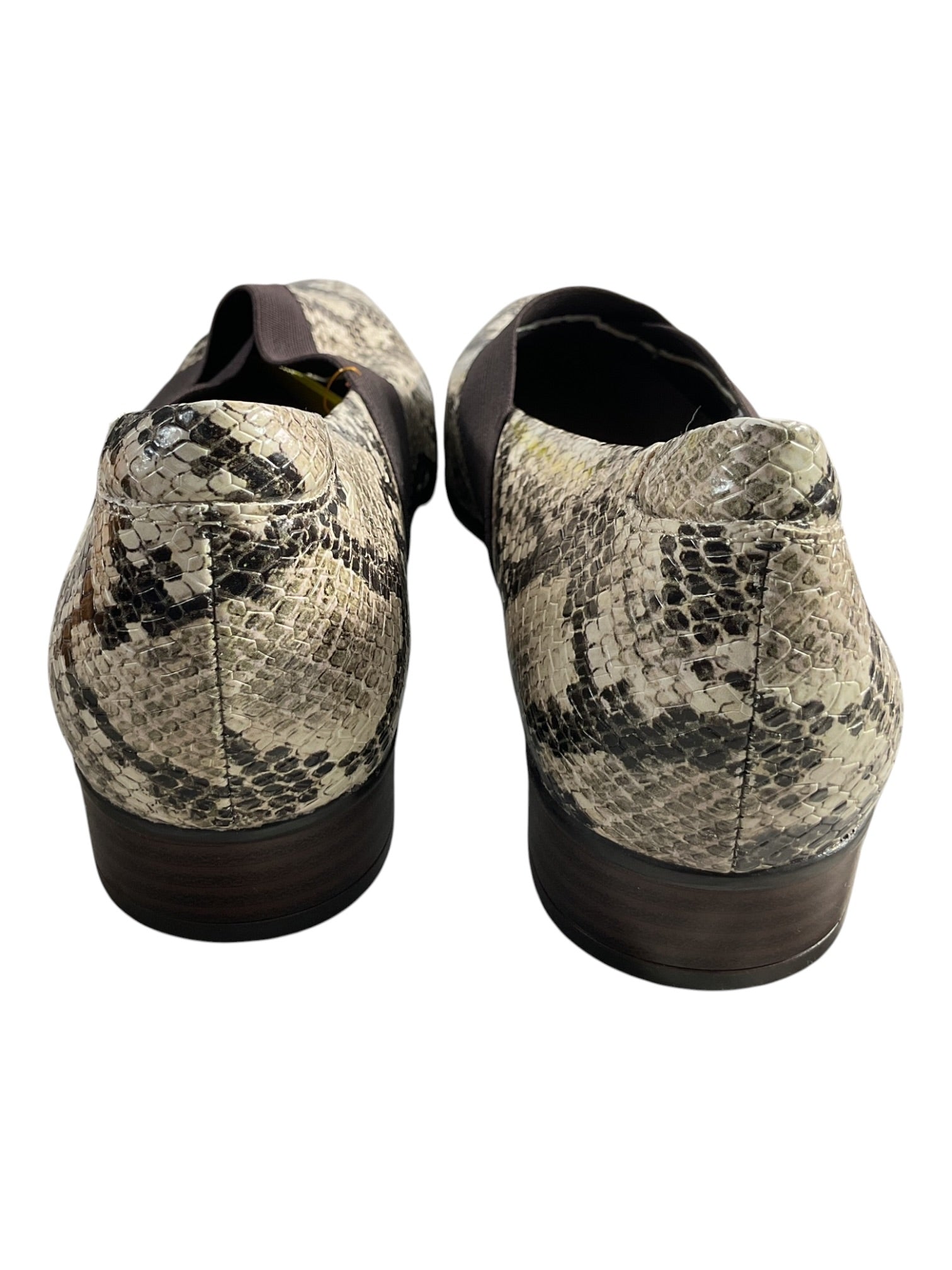 Zapato 8.5 (Clarks)
