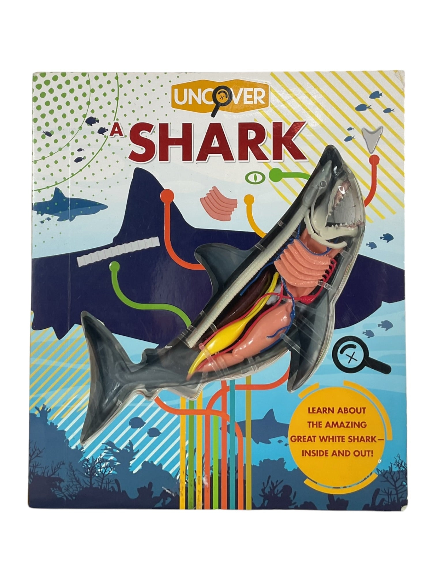Libro educativo del gran tiburón blanco