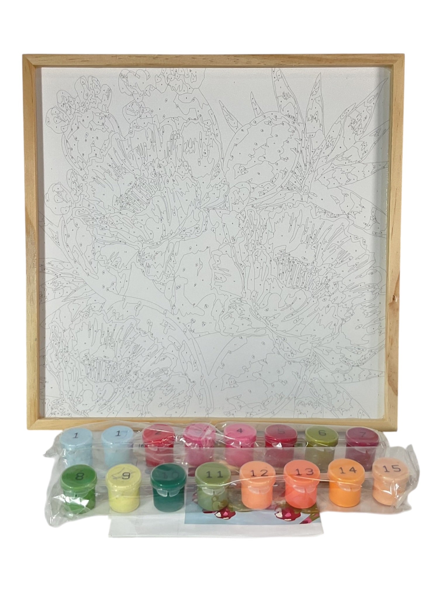 Kit de pintura por números