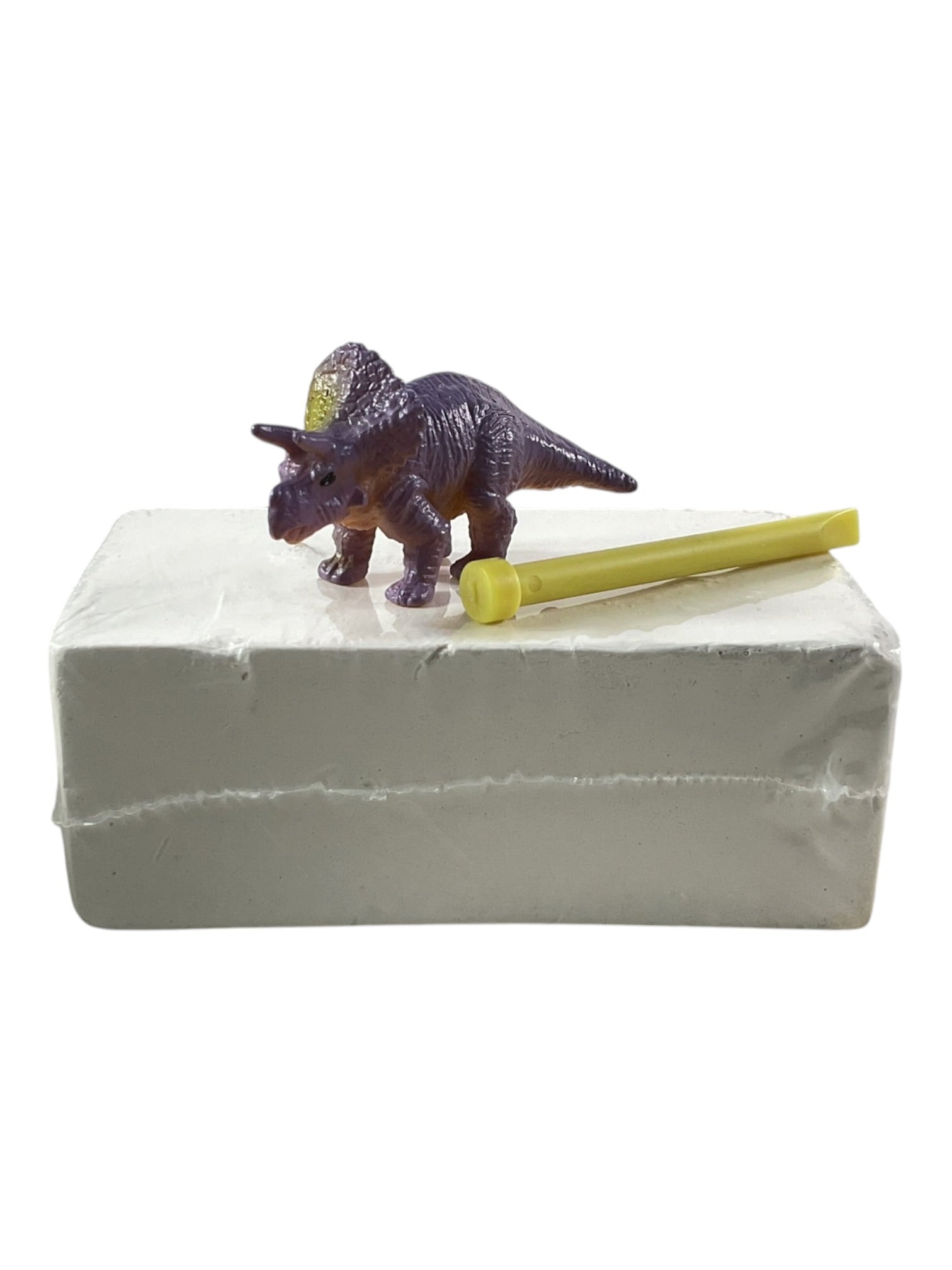 Kit de excavación de dinosaurio