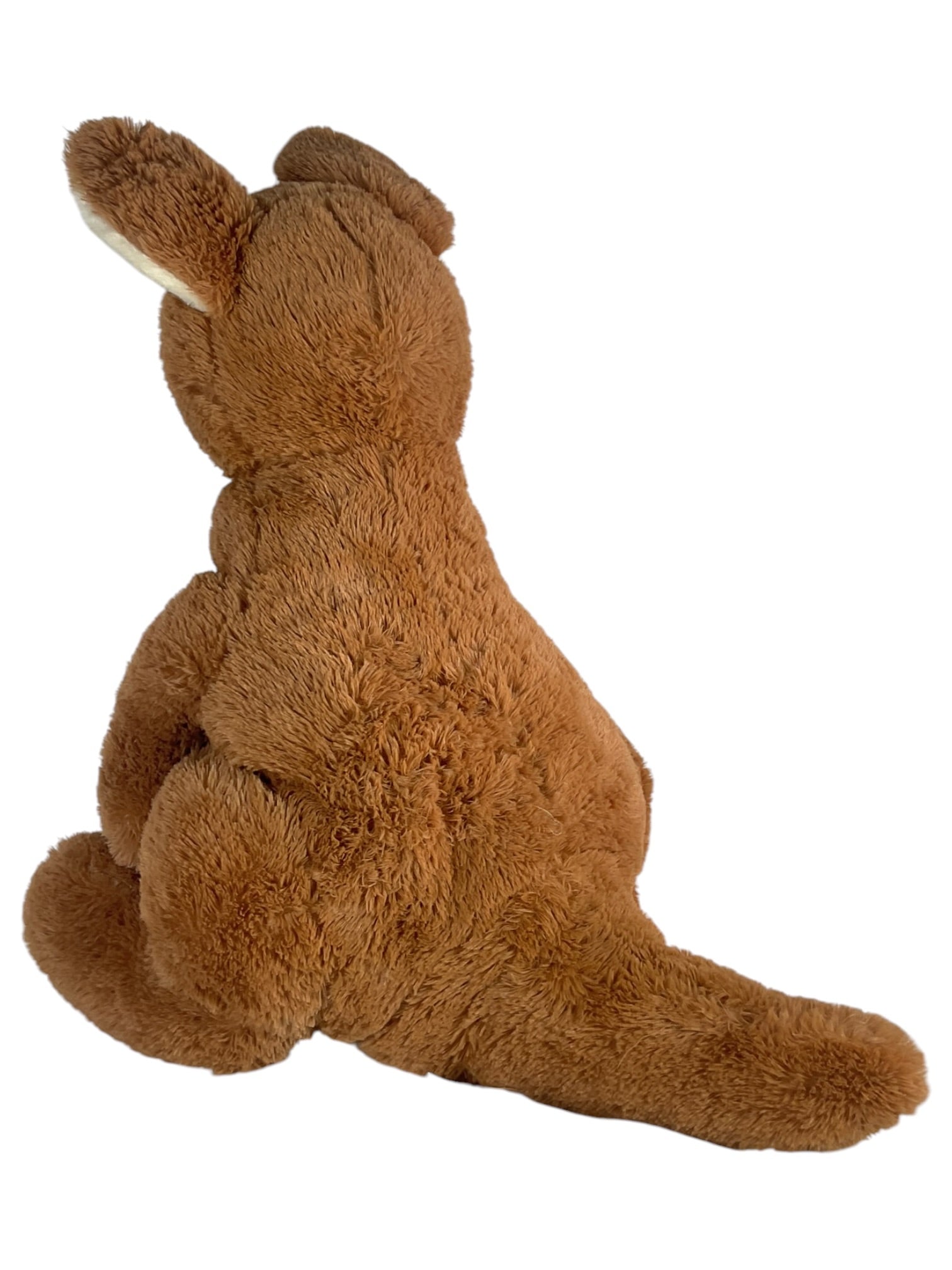 Peluche