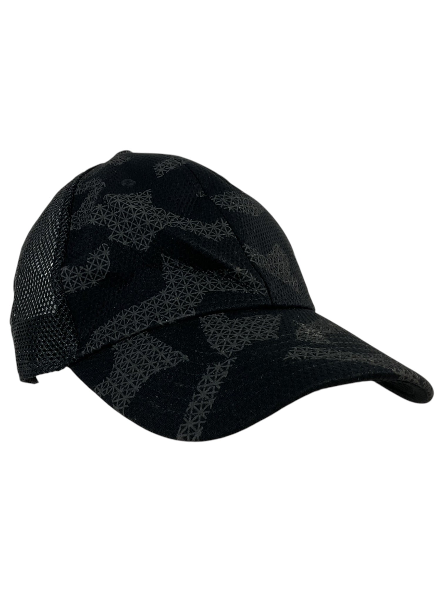 Gorra (Under Armour)