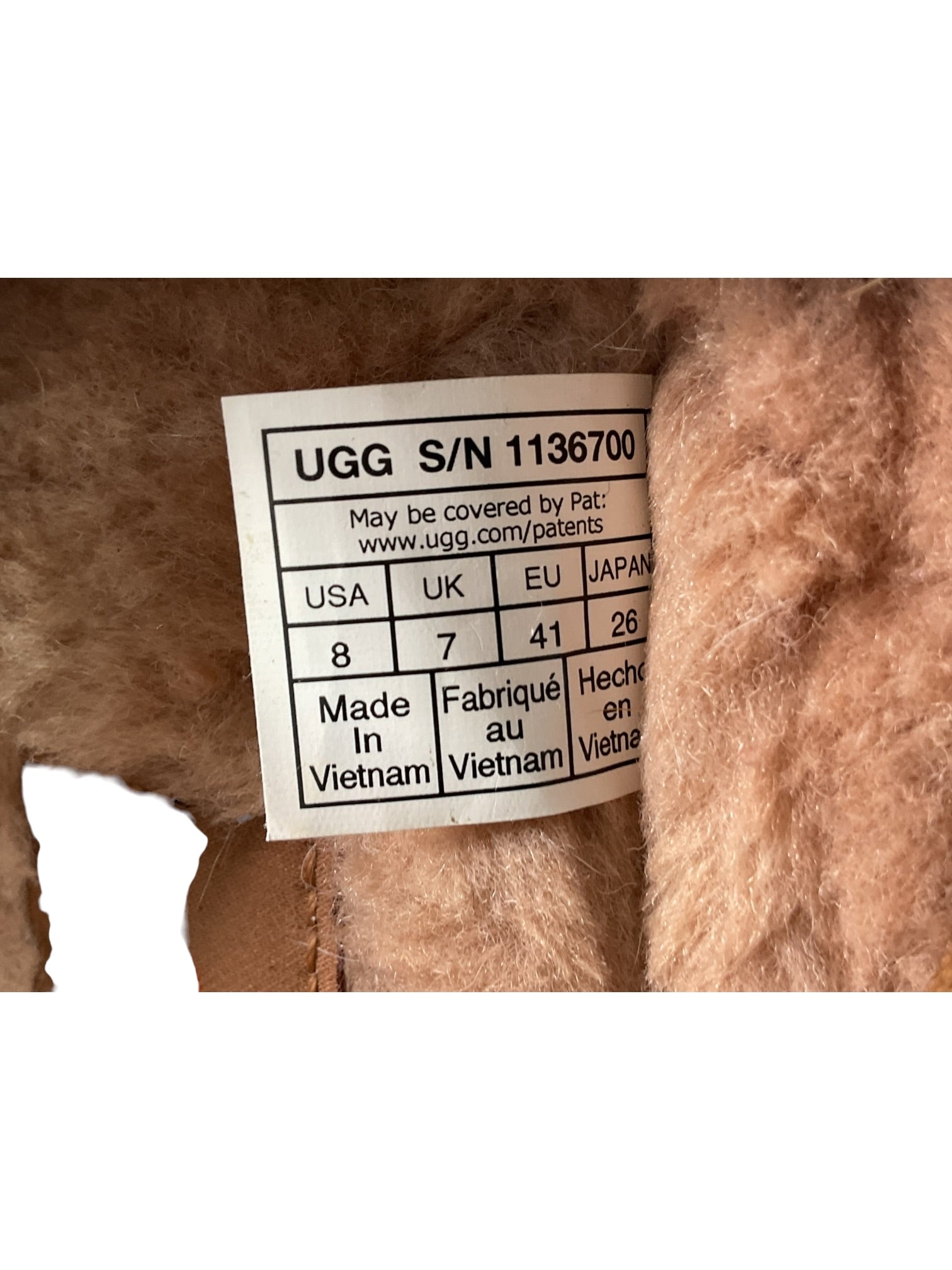 Zapato 8 (UGG)