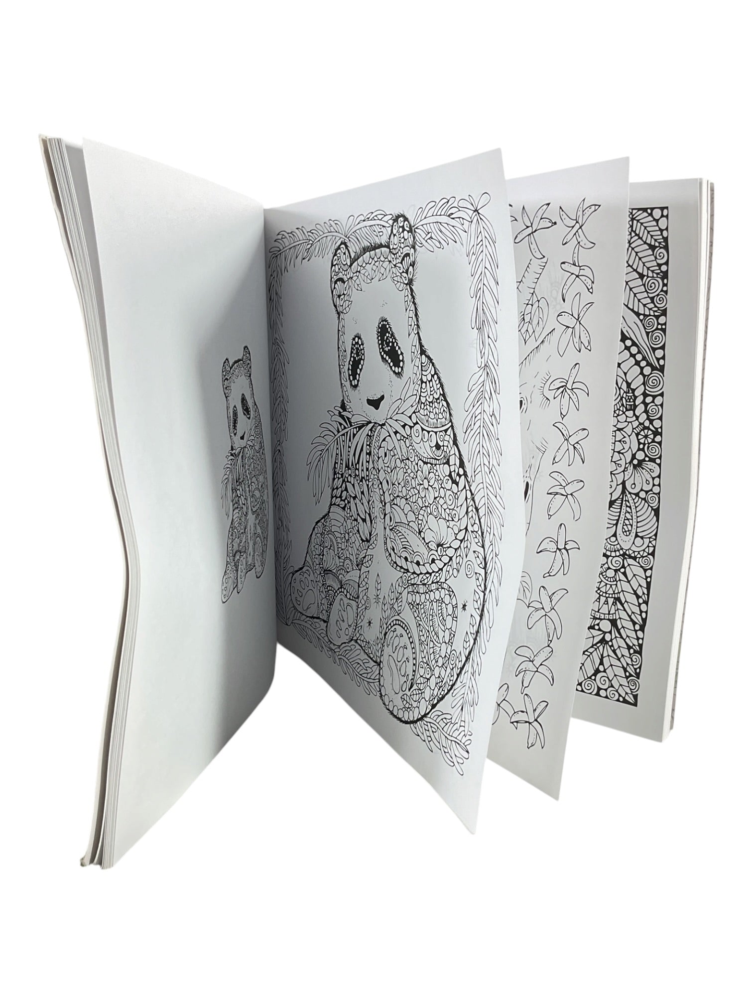 Set de cuaderno de dibujo y colores (Colorama)