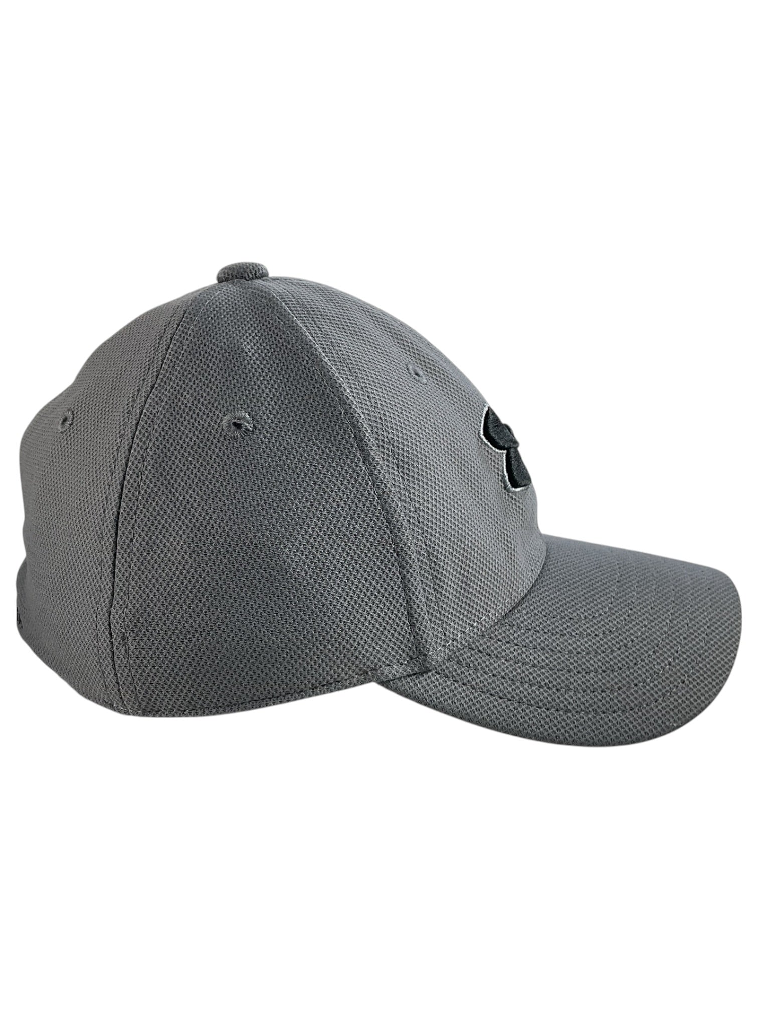 Gorra (Under Armour)