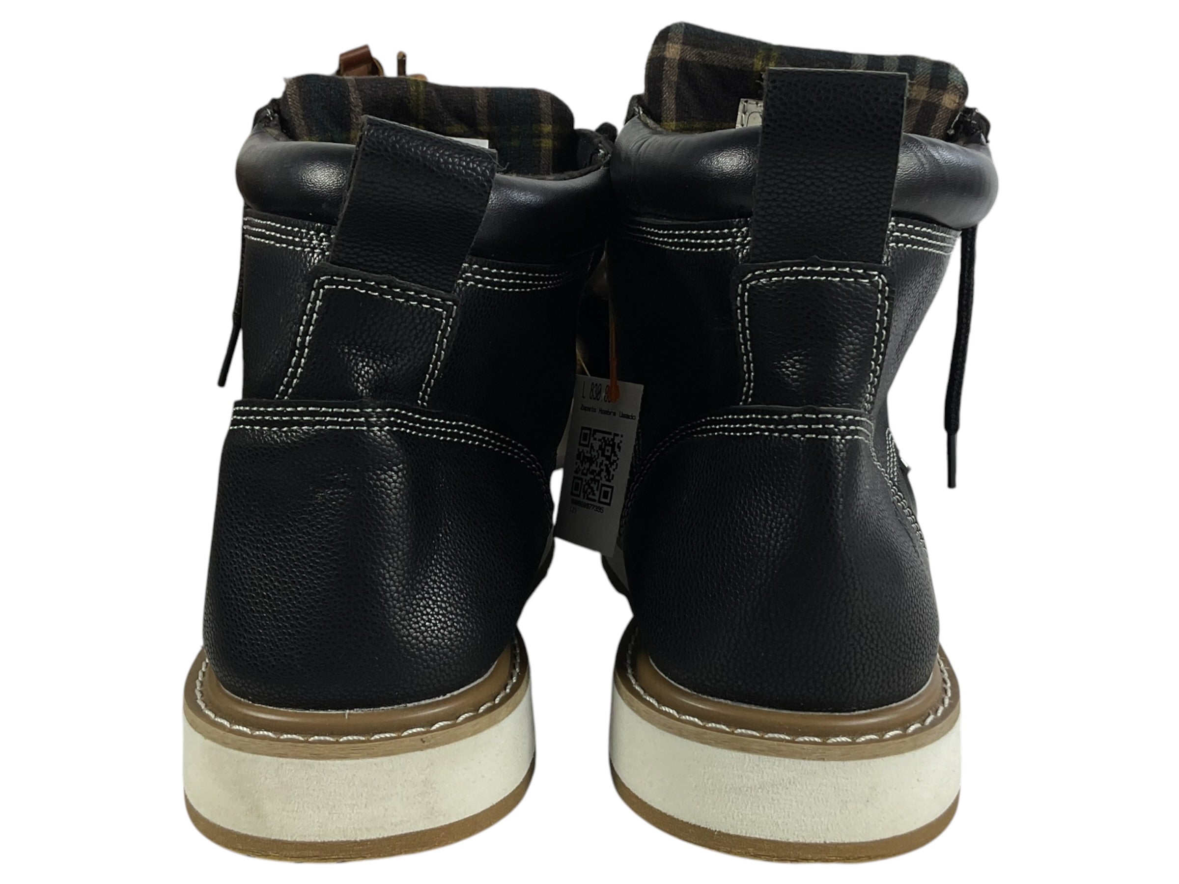 Burros 12 (Kelodon)