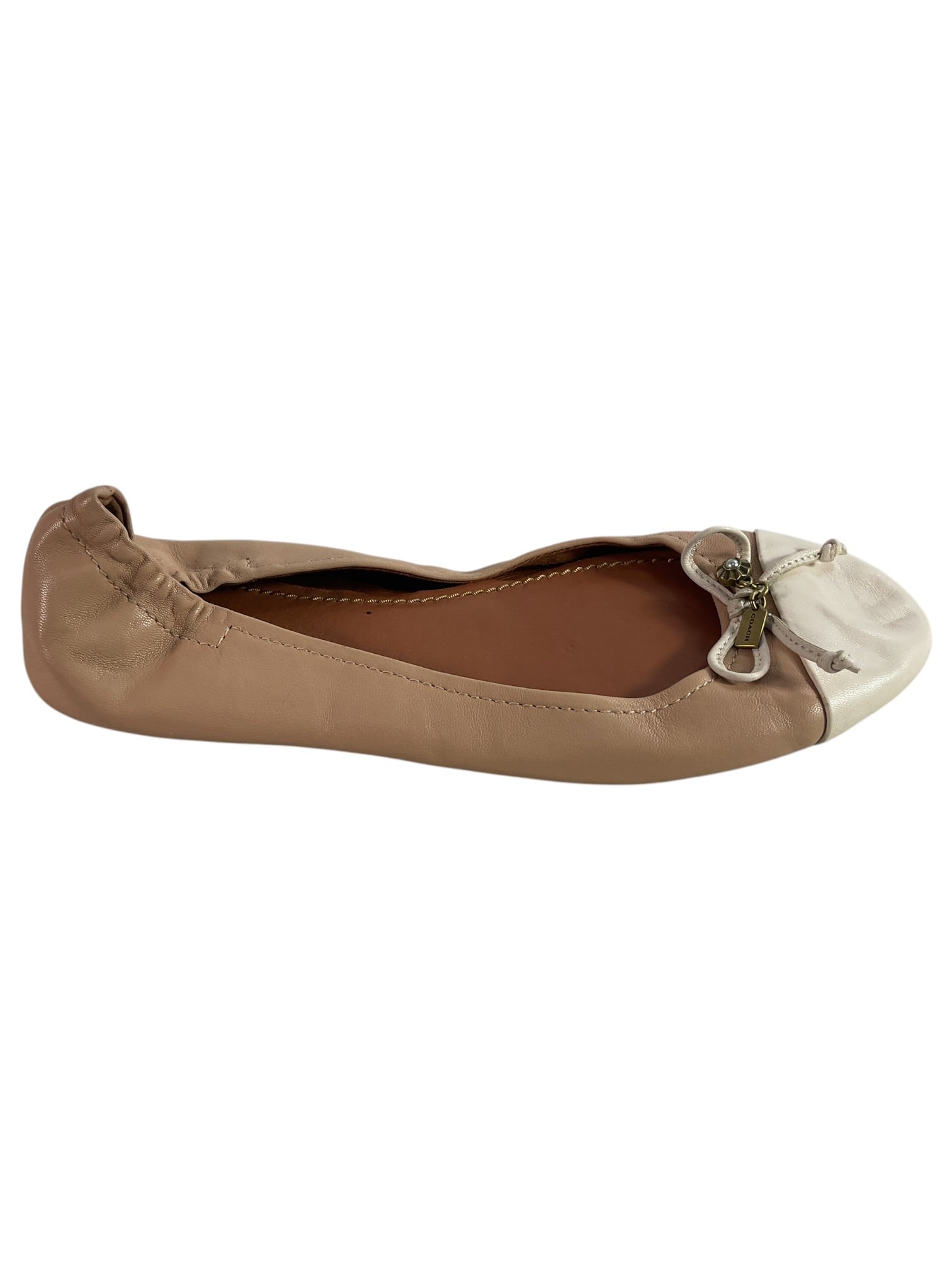 Zapatilla 8 (COACH)