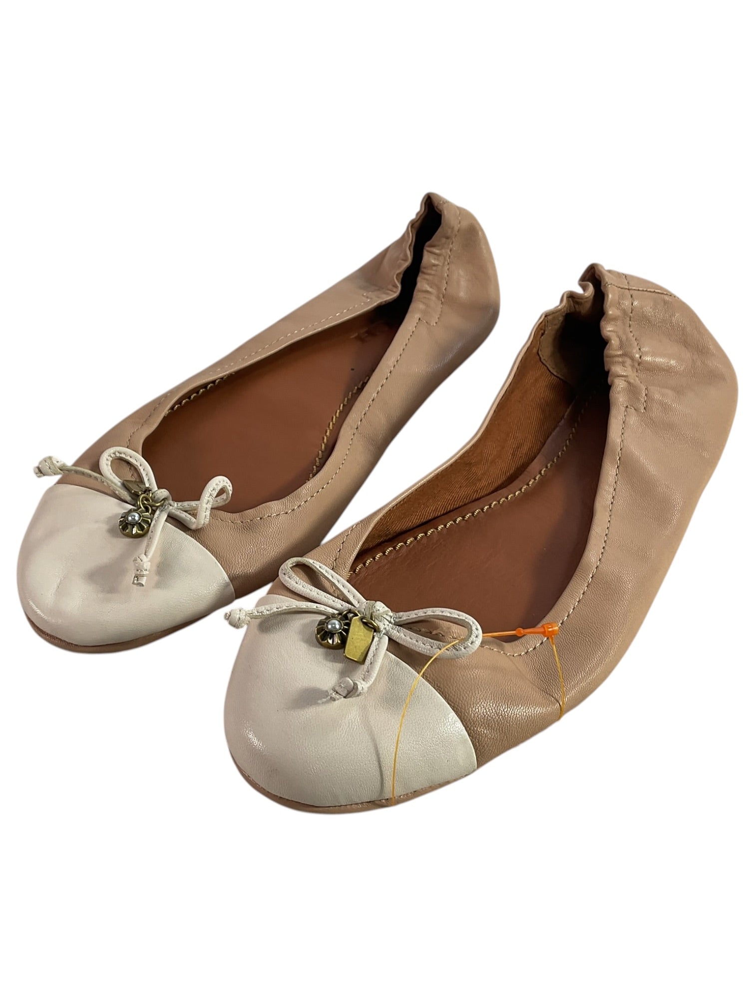Zapatilla 8 (COACH)