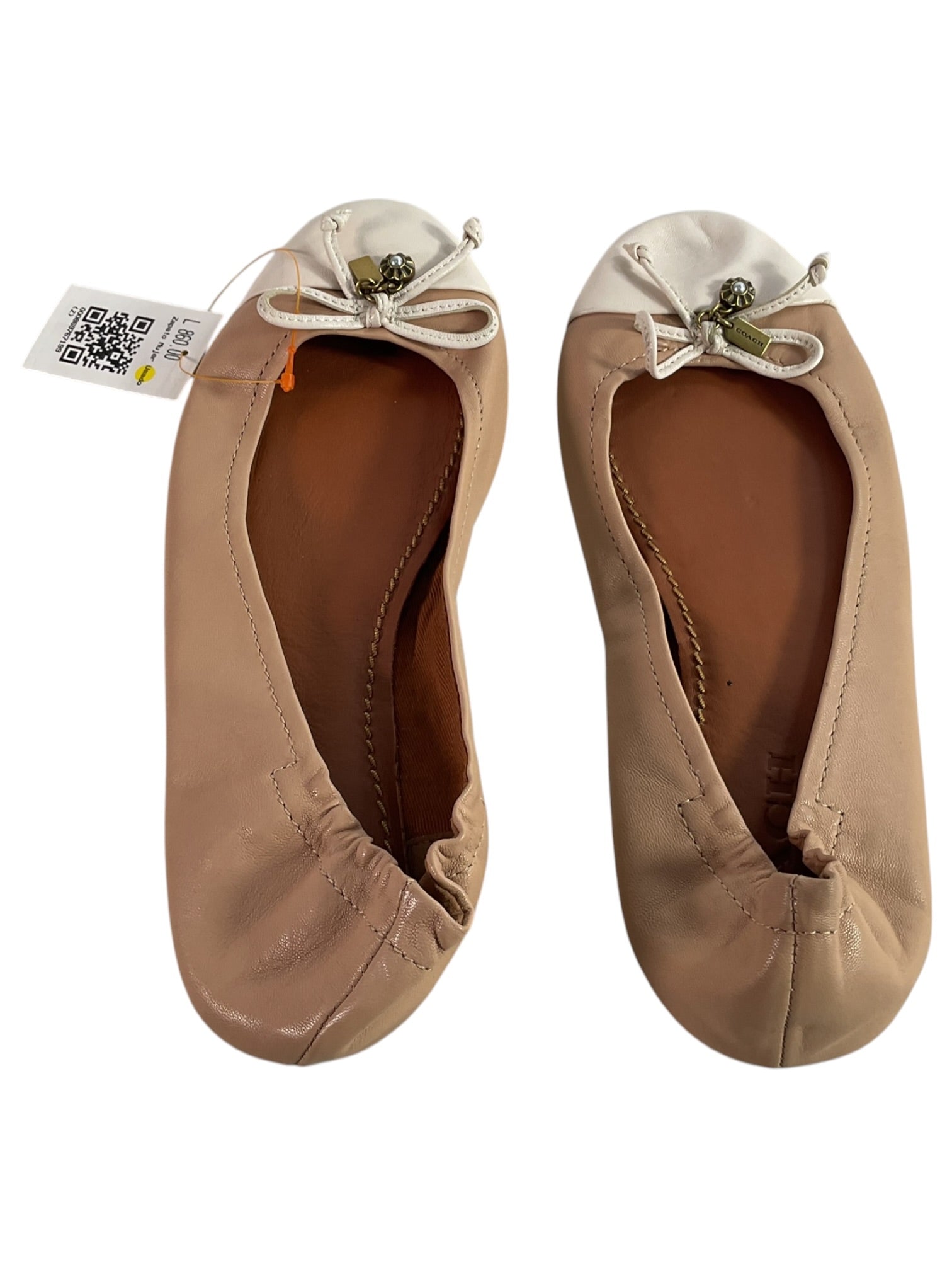 Zapatilla 8 (COACH)
