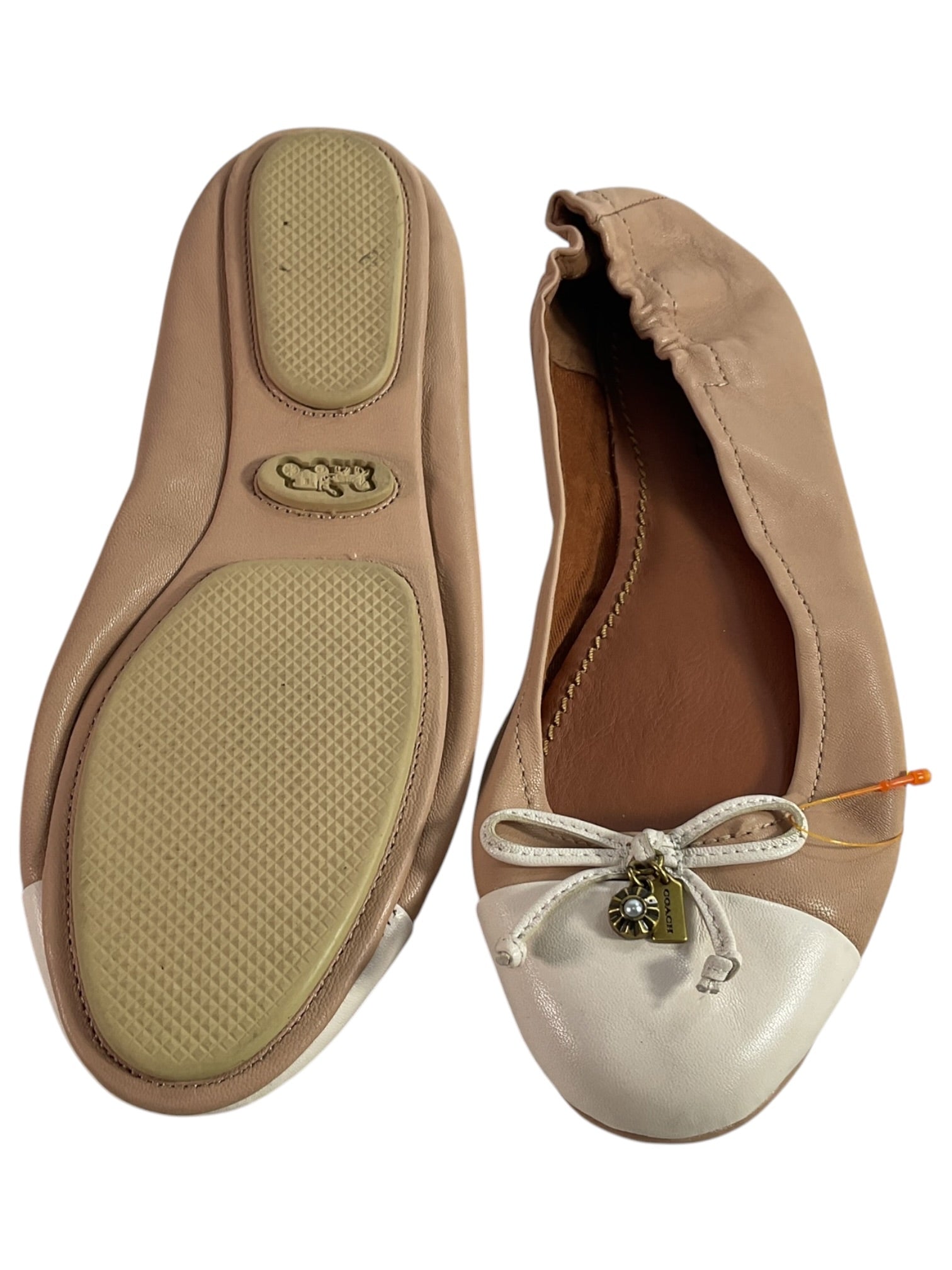 Zapatilla 8 (COACH)
