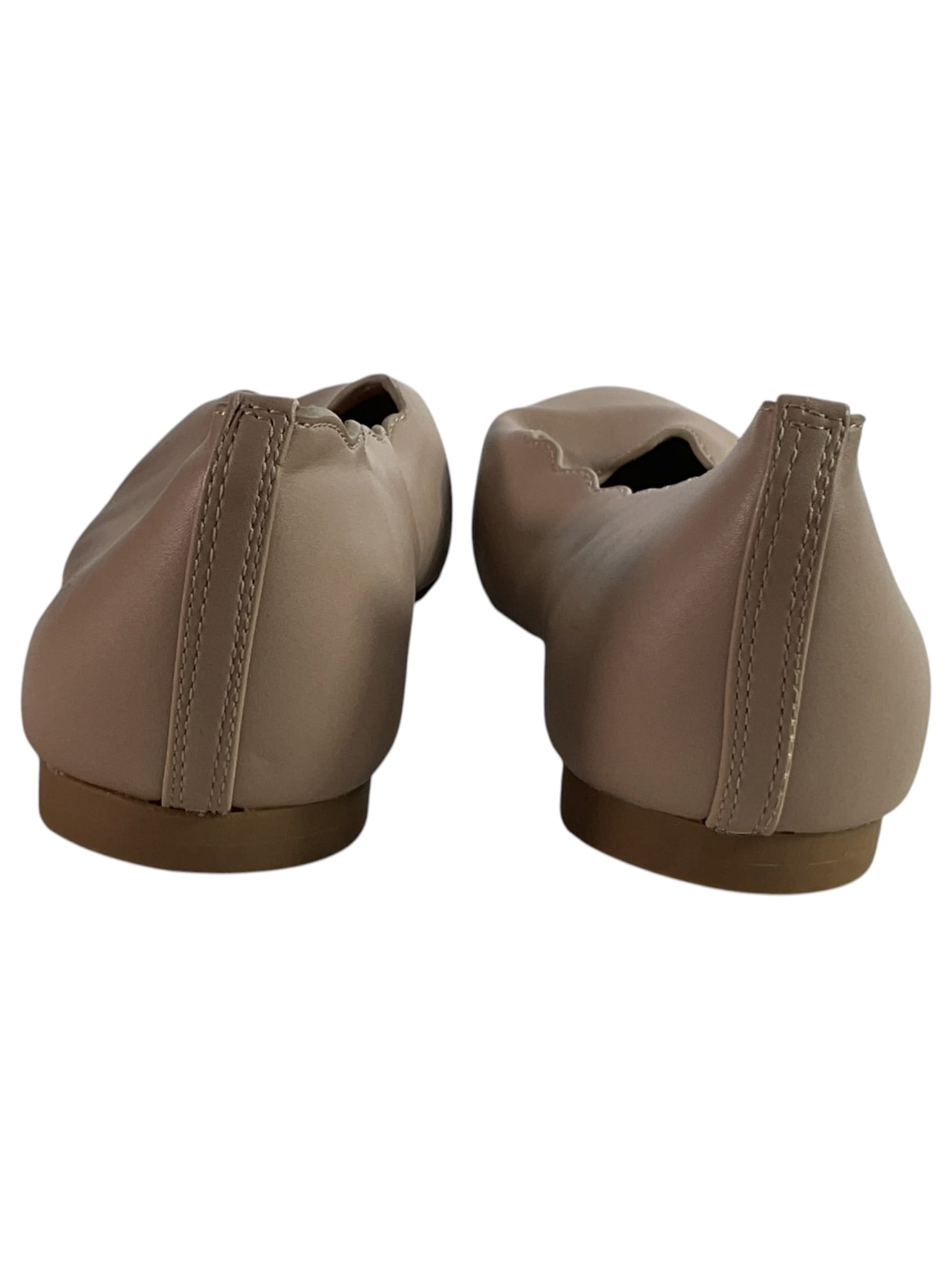 Zapatilla 8 (Kim Rogers)