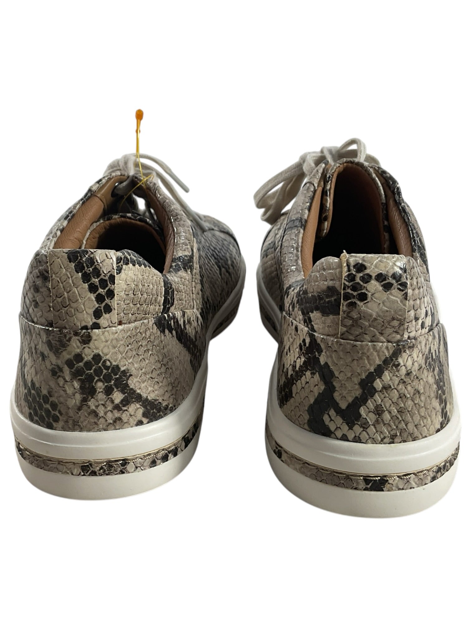 Tenis 6 (Clarks)