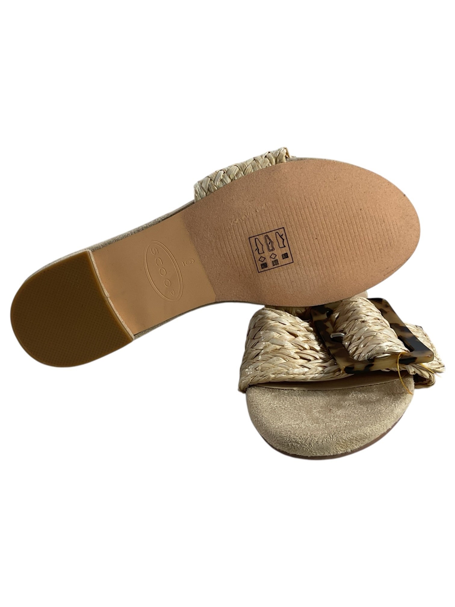 Sandalia 6 (SCOOP)