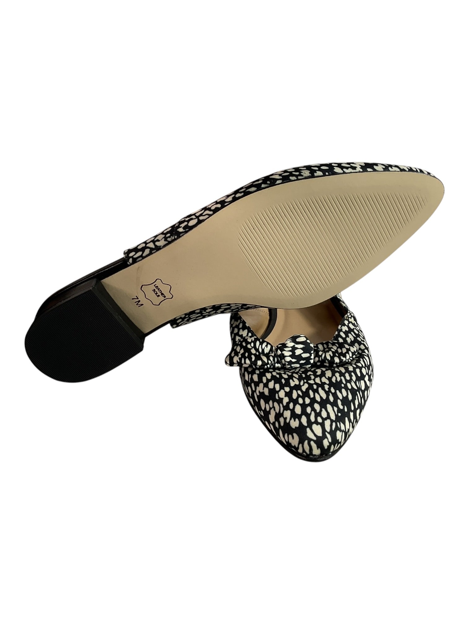 Zapatilla 7 (Talbots)
