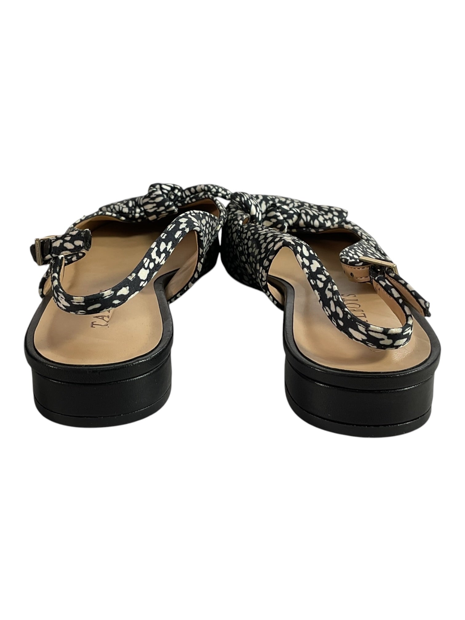 Zapatilla 7 (Talbots)