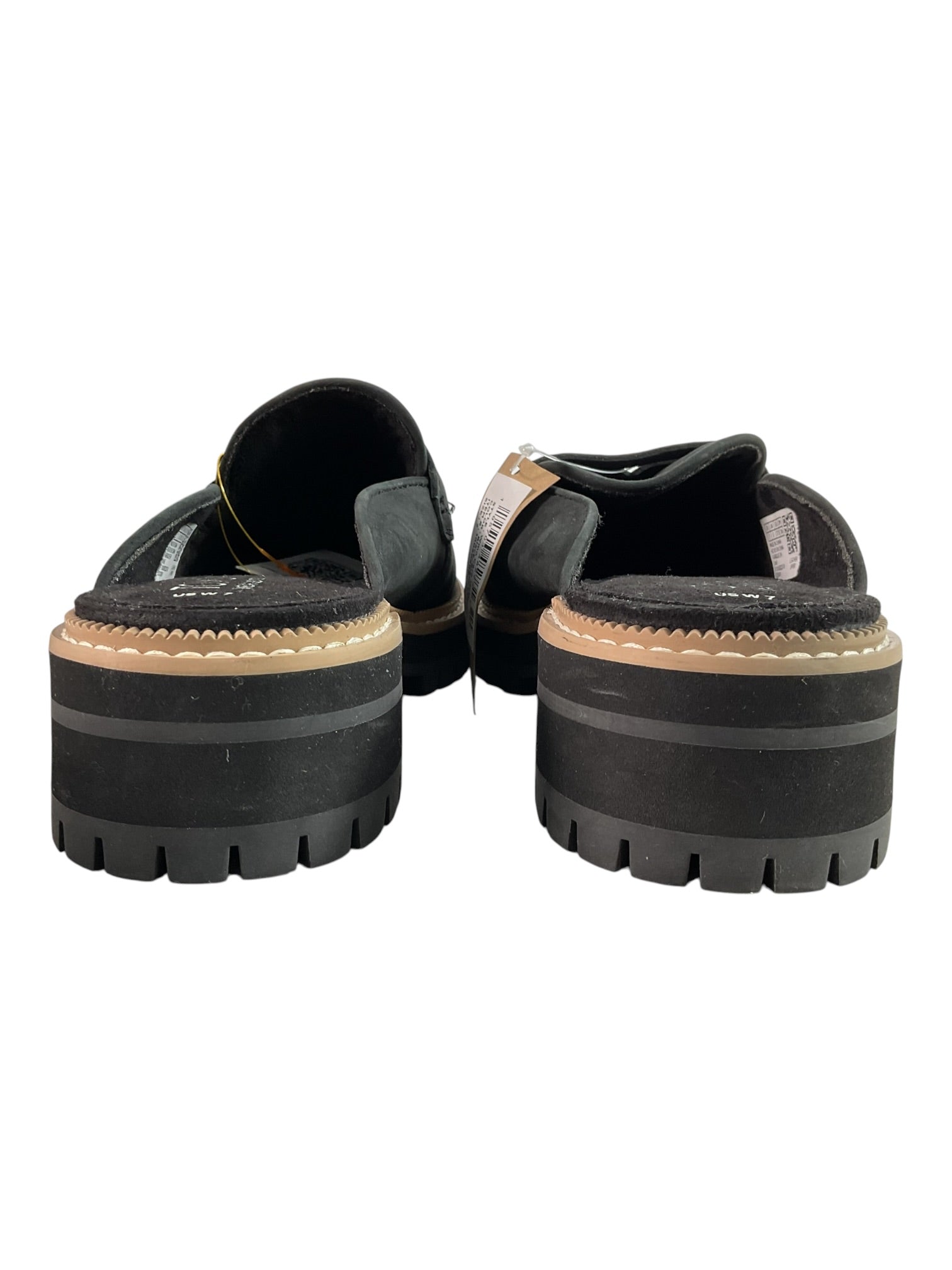 Zapato 7 (Toms)