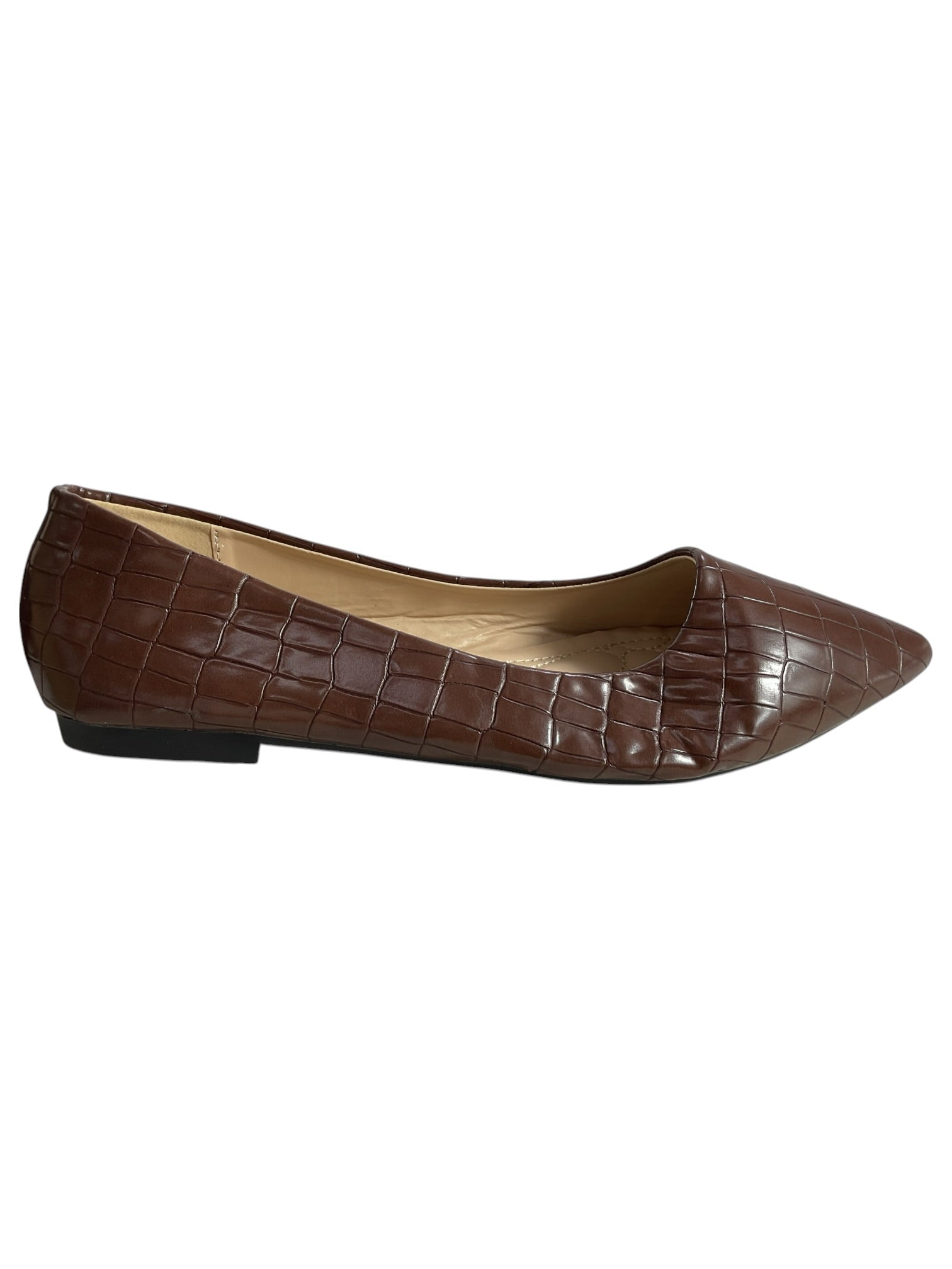 Zapatilla 9.5