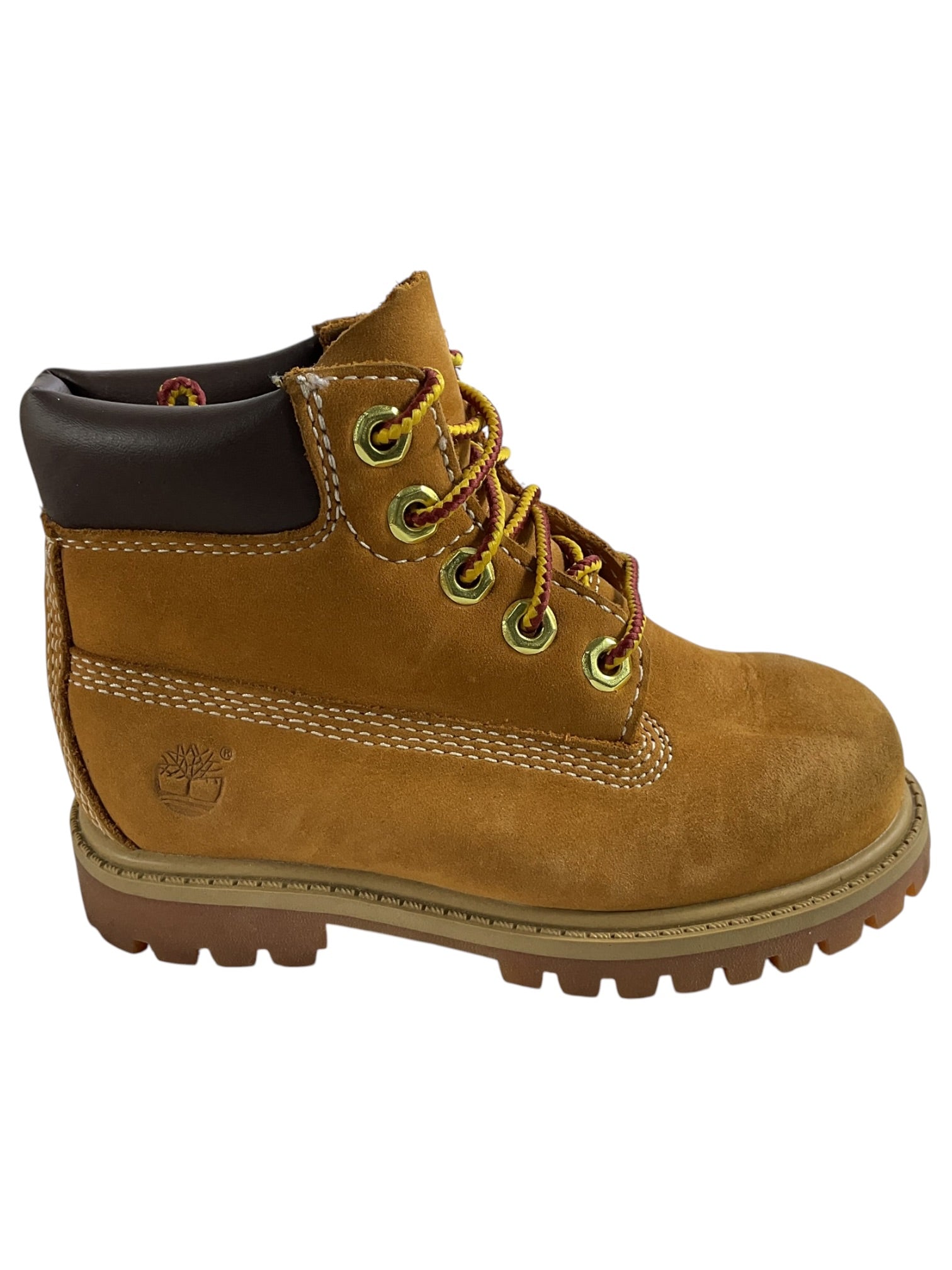Burro niño (Timberland)