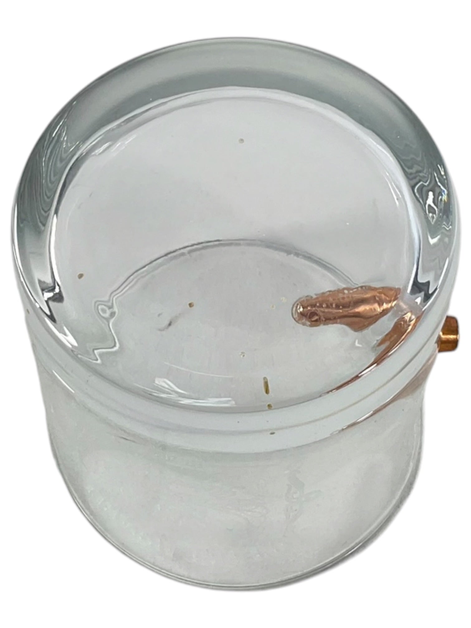 Vaso