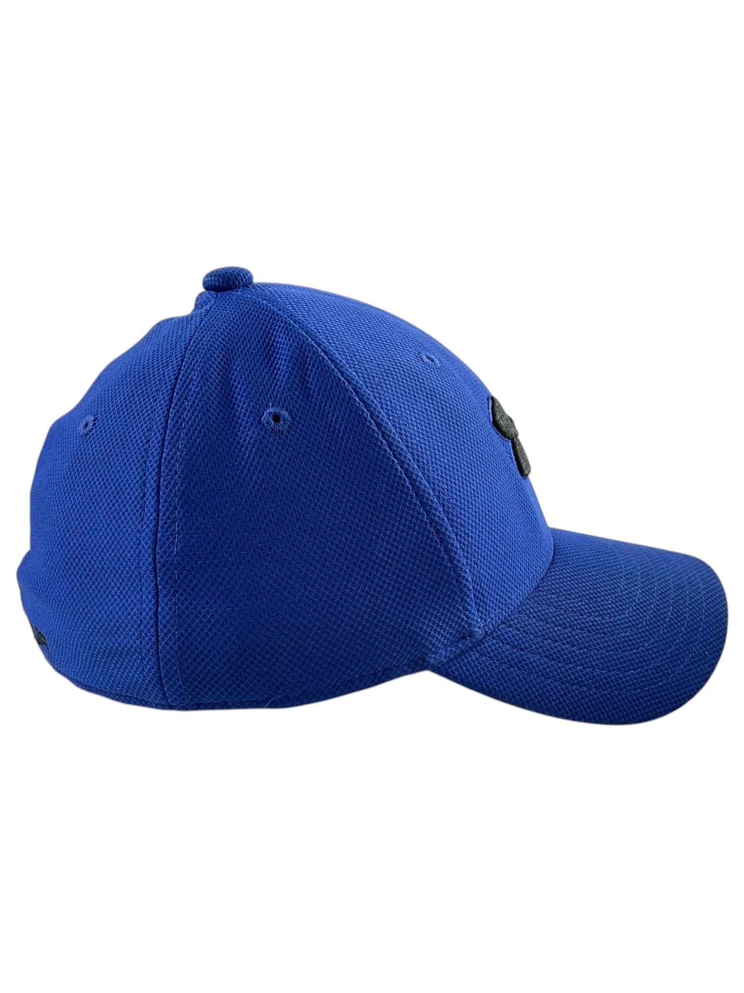 Gorra (Under Armour)