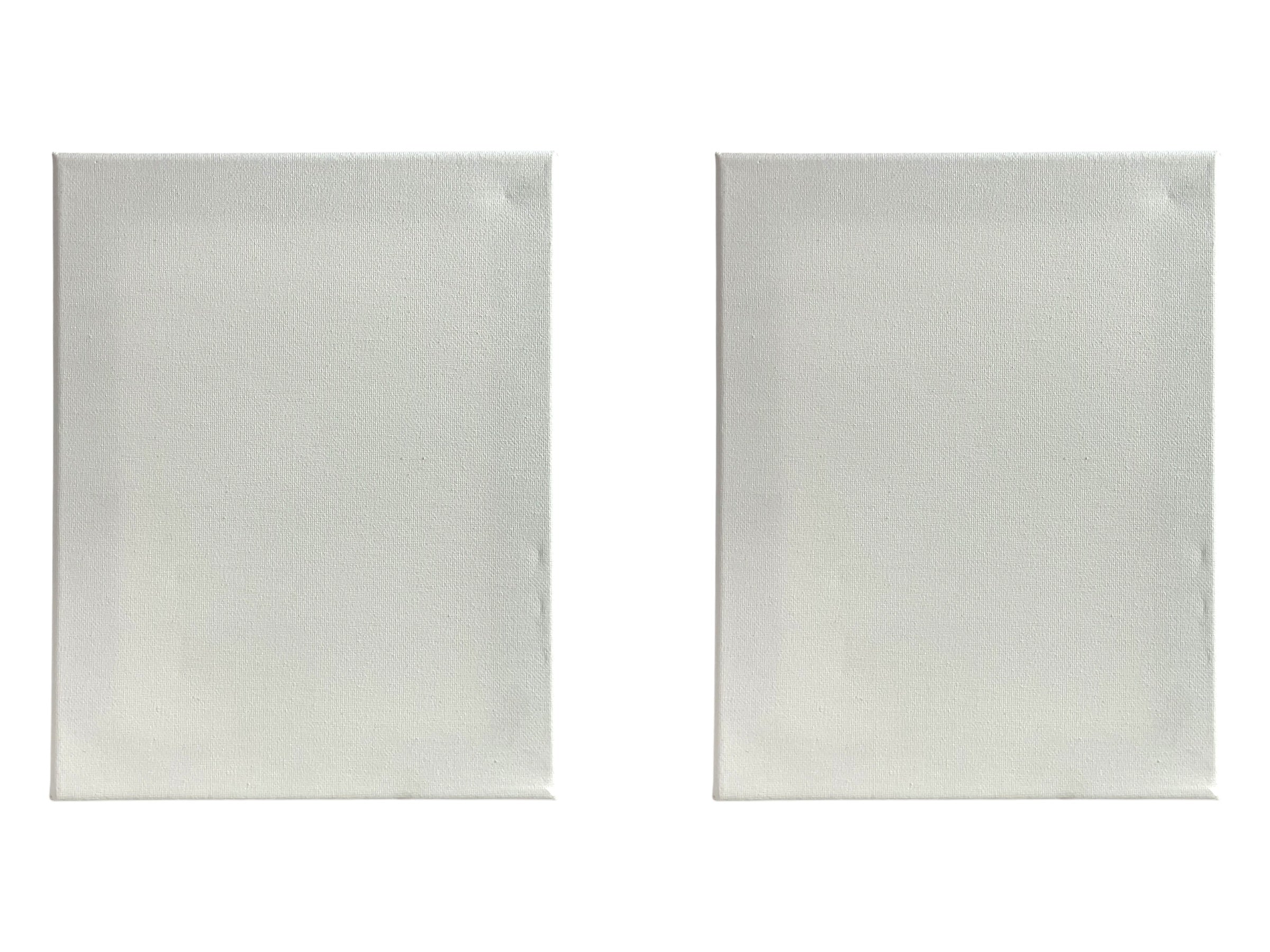 Set de 2 lienzos en blanco para pintura - vista frontal