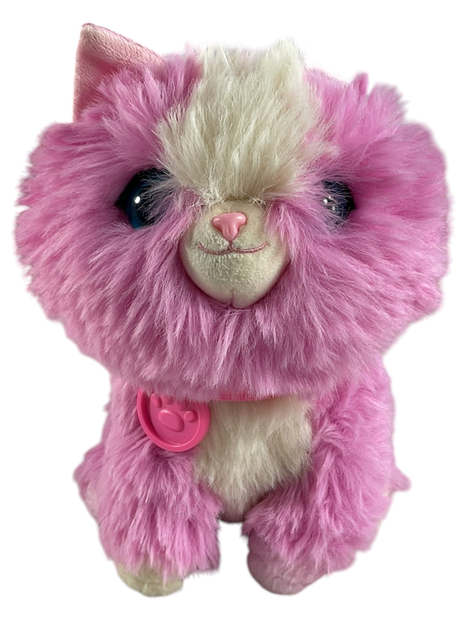 Set de peluche y transportadora