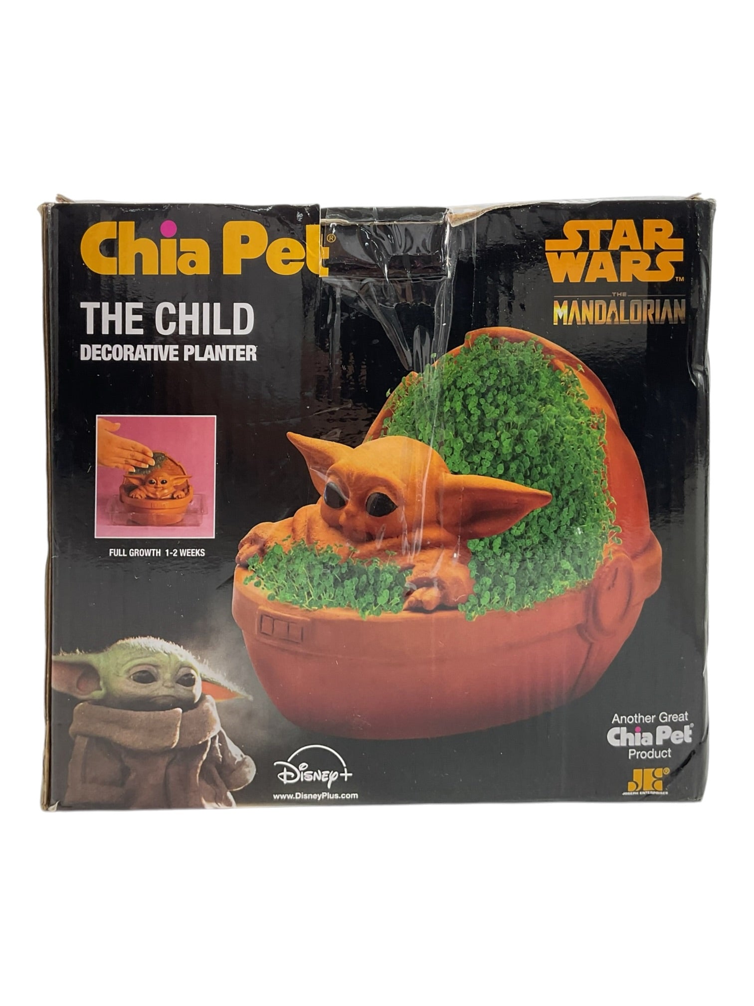 Macetera de Chia (STAR WARS)