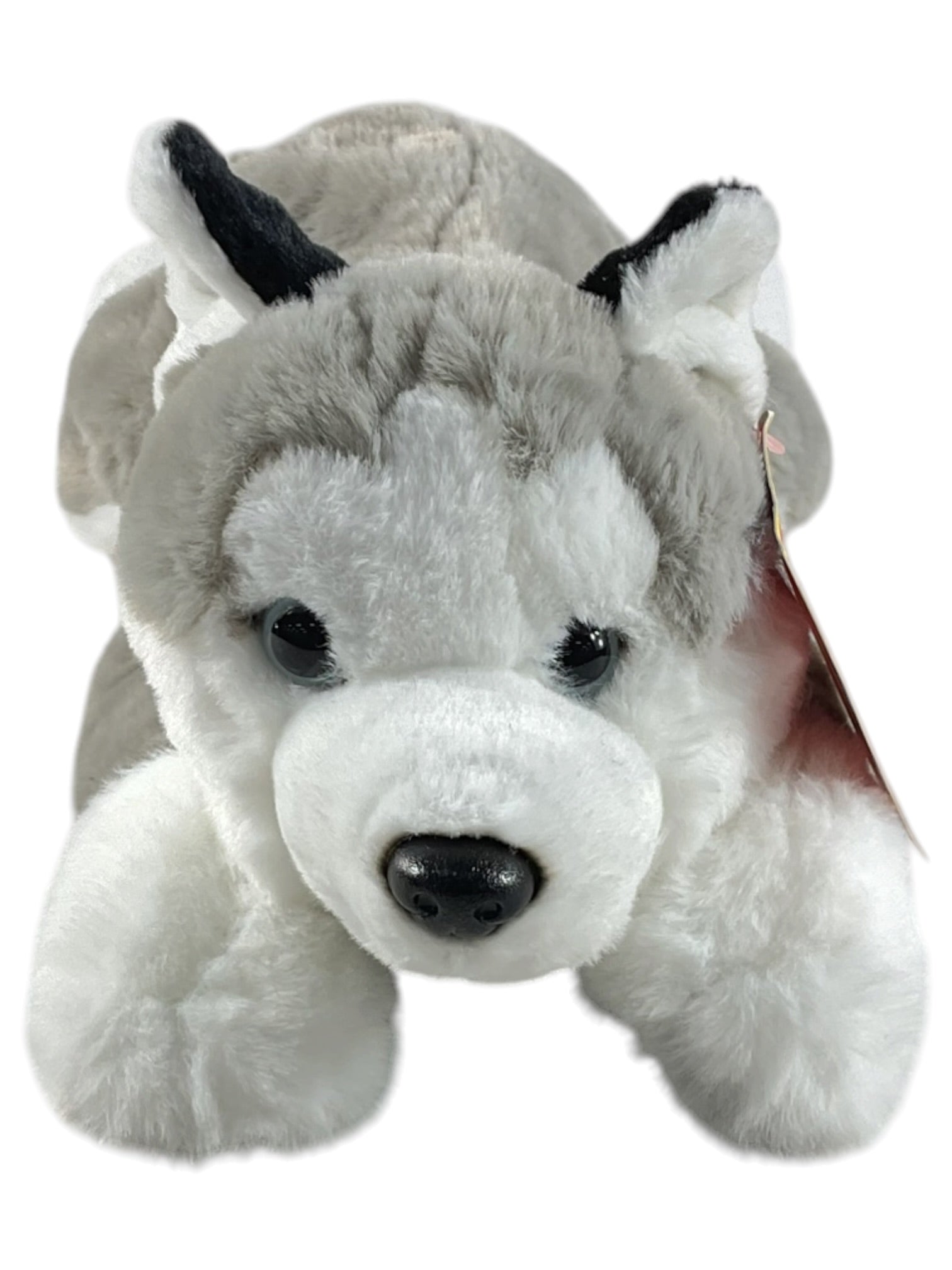 Peluche
