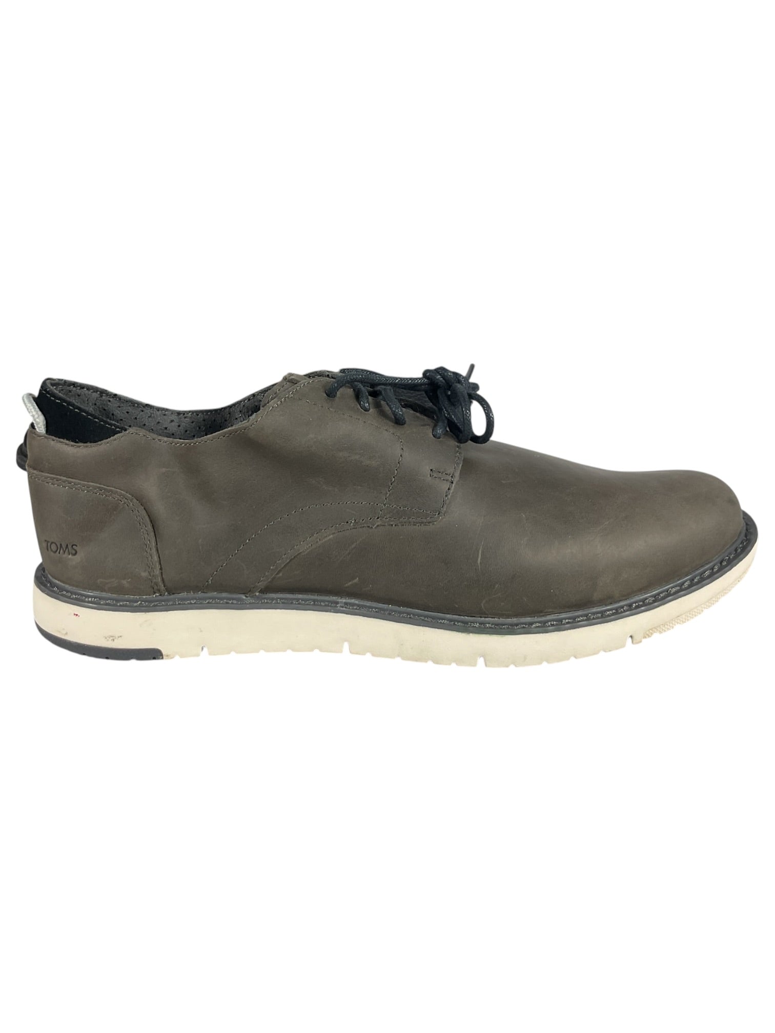 Zapato 11.5 (TOMS)