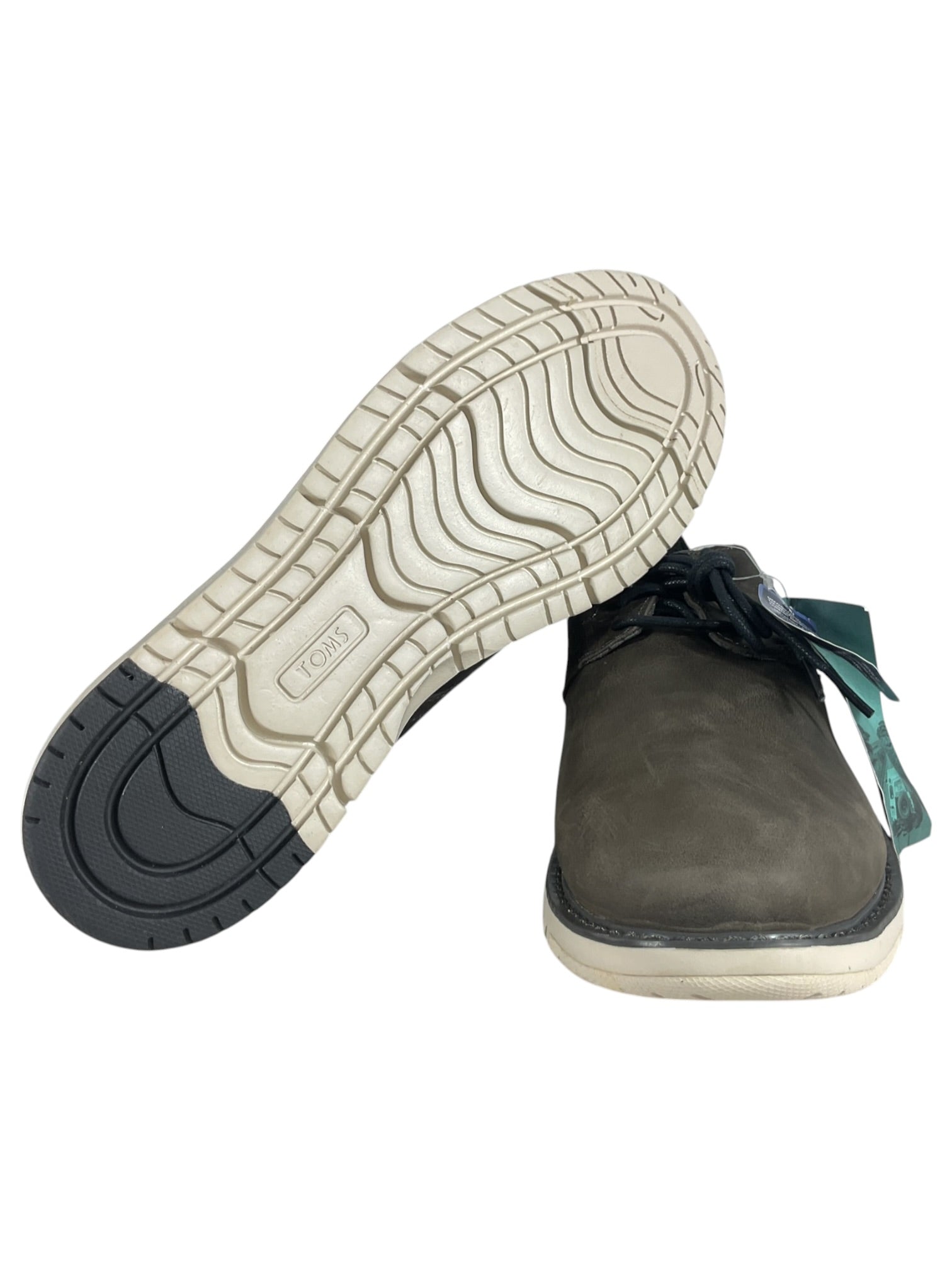 Zapato 11.5 (TOMS)