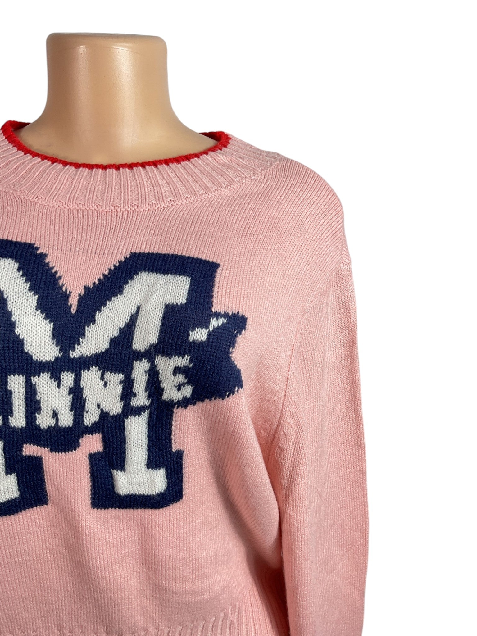 Sueter M (Disney)