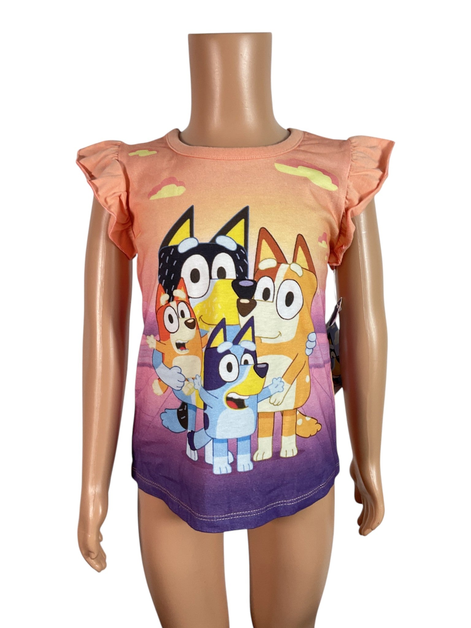 Blusa niña 4T (Bluey)