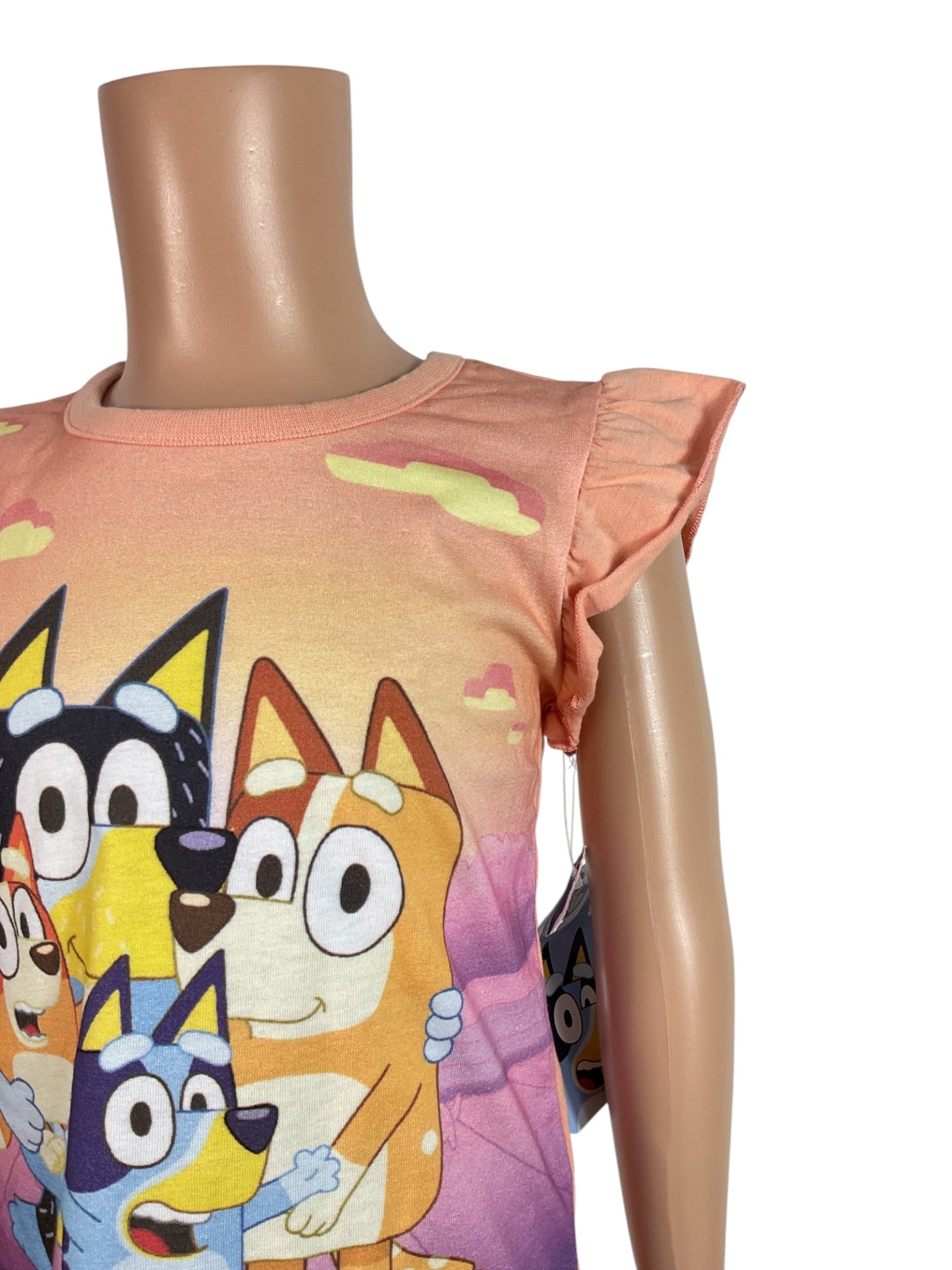Blusa niña 4T (Bluey)