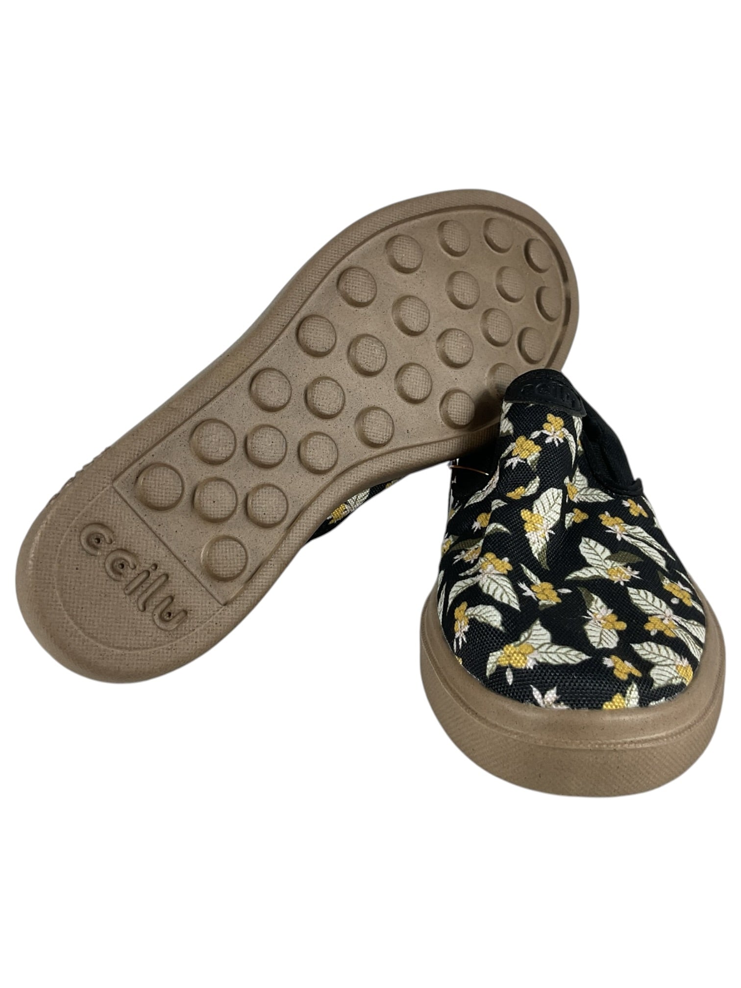 Zapato 8