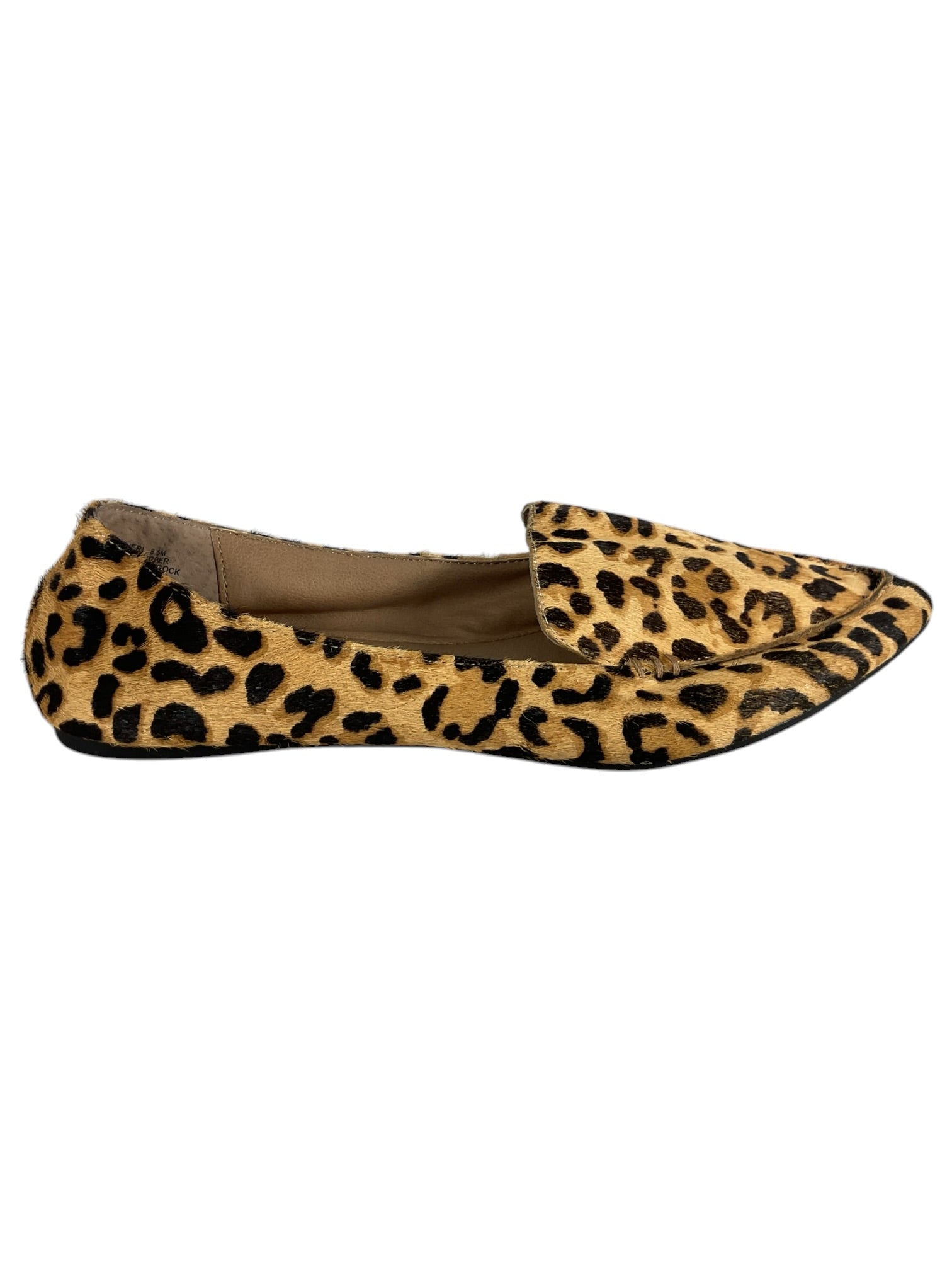 Zapato 8.5 (Steve Madden)