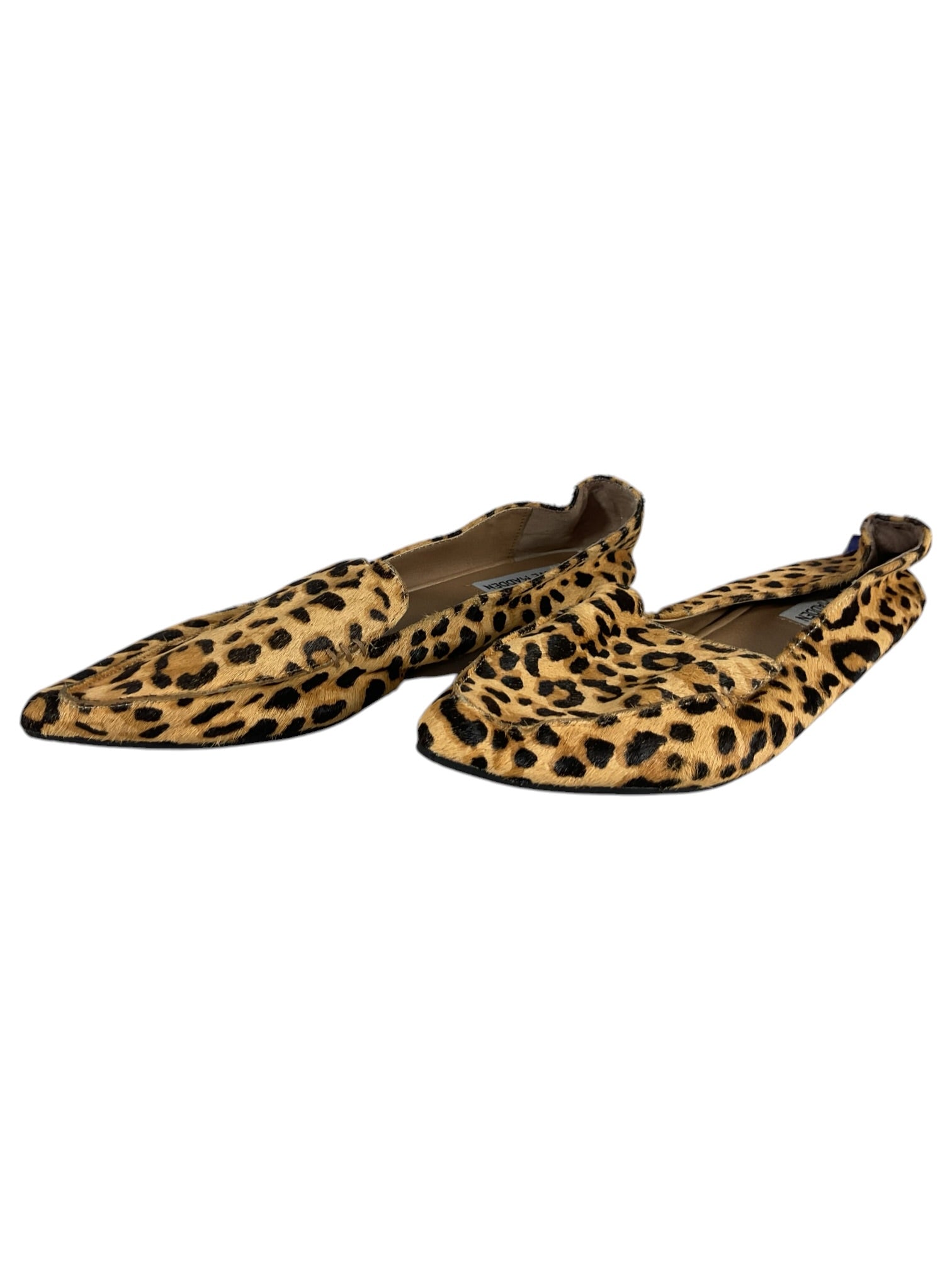 Zapato 8.5 (Steve Madden)