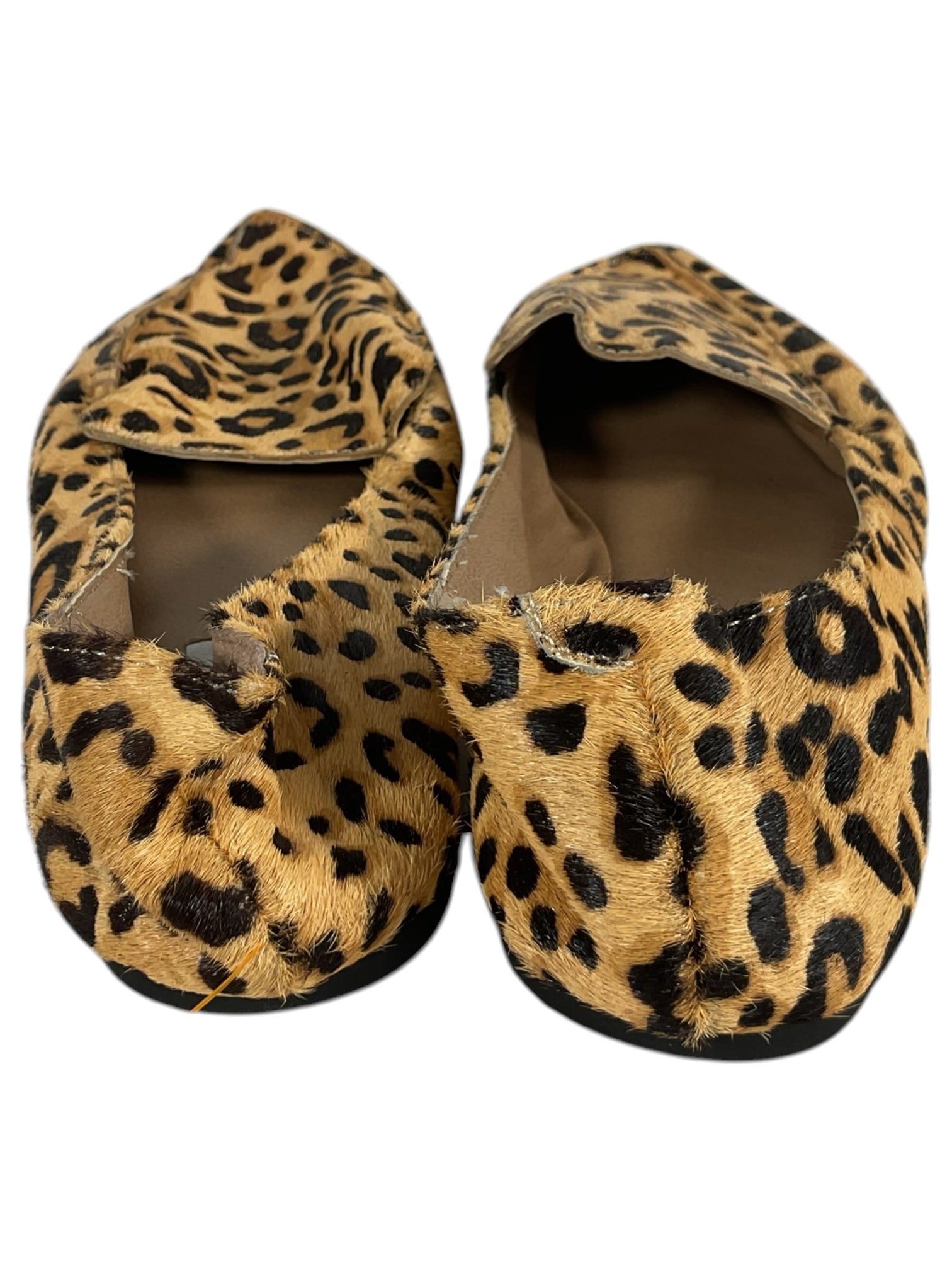 Zapato 8.5 (Steve Madden)