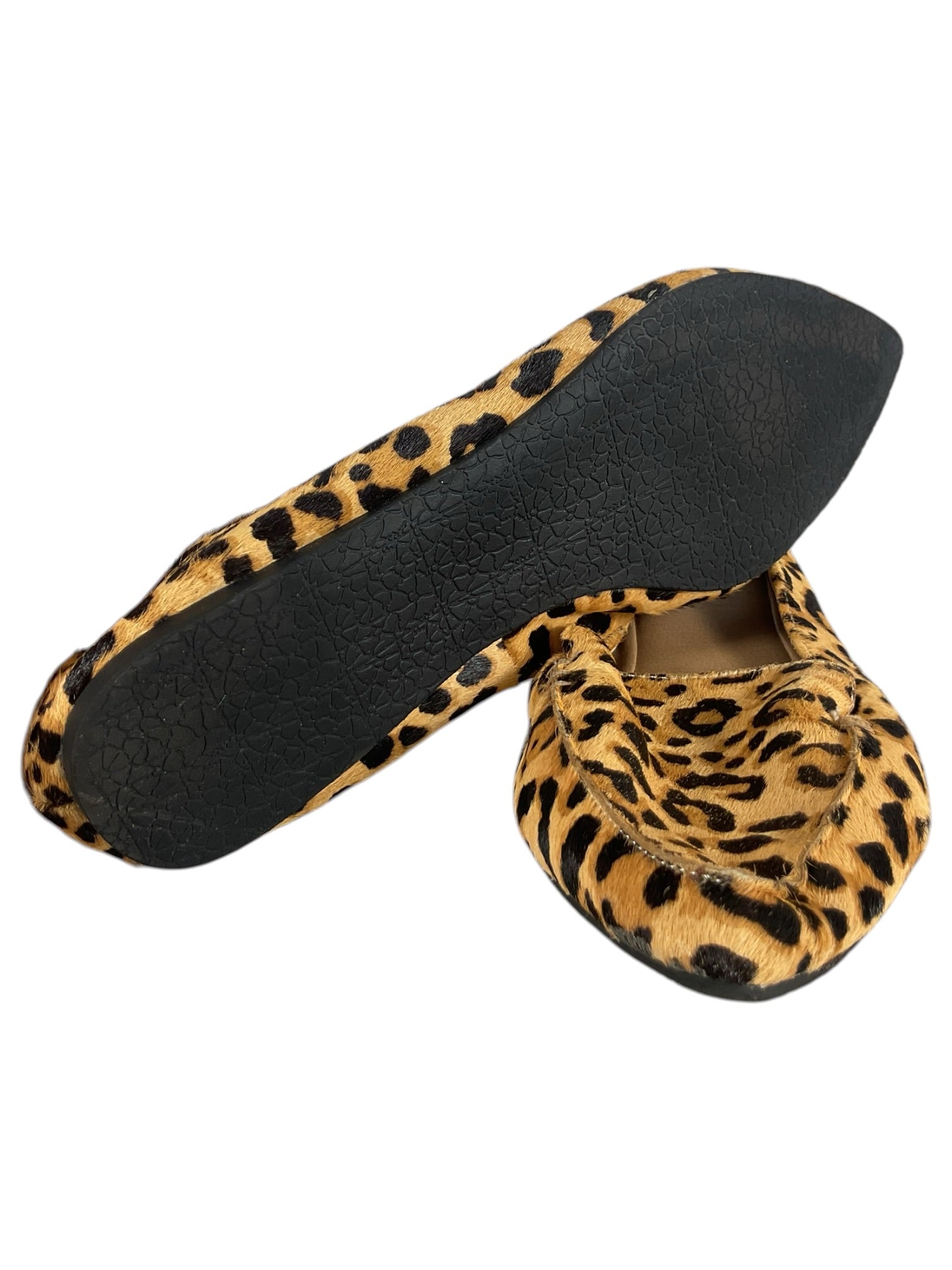 Zapato 8.5 (Steve Madden)