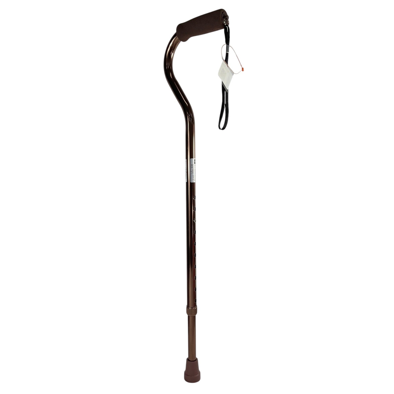 Bastón (MEDLINE)