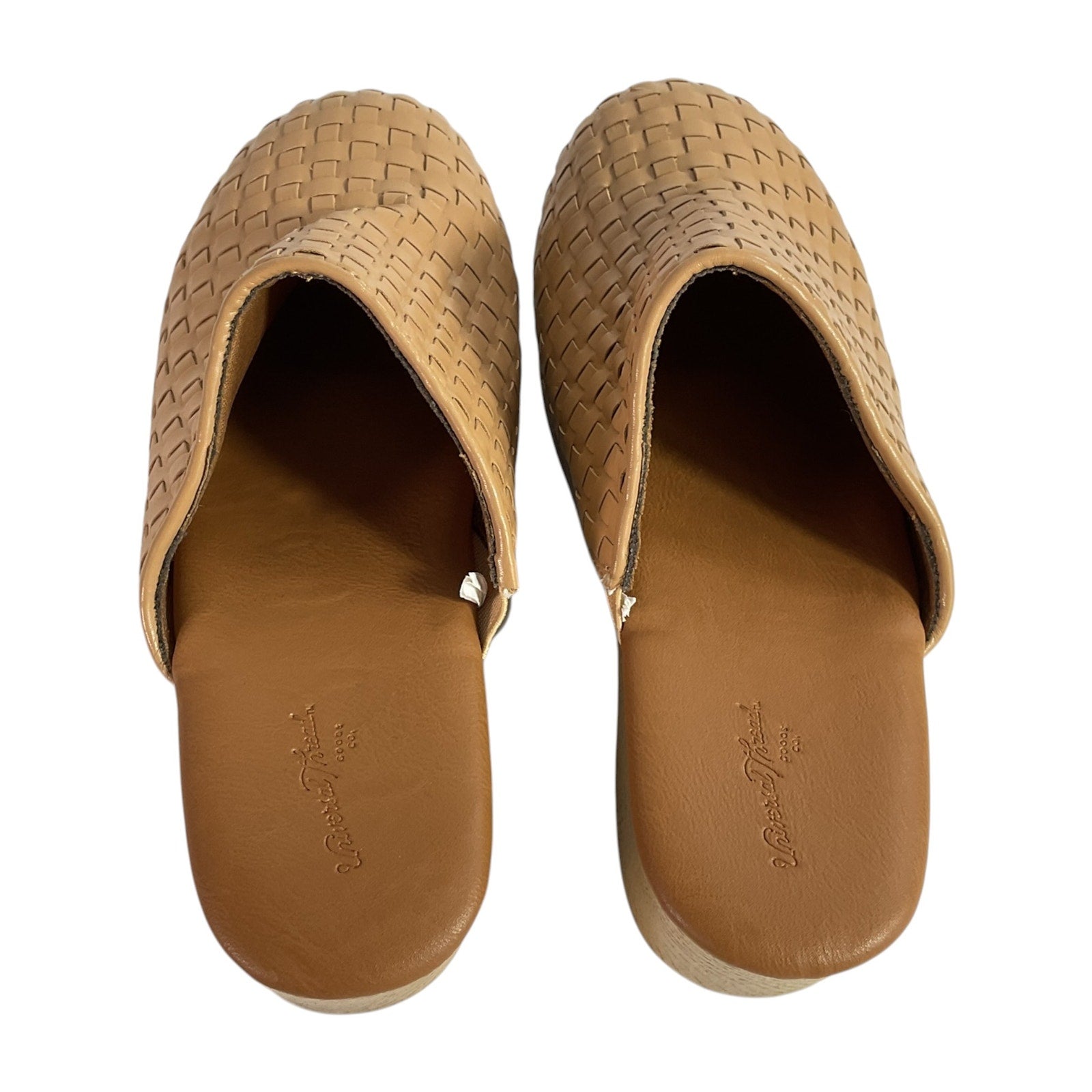 Zapato 7.5 (Universal Thread)