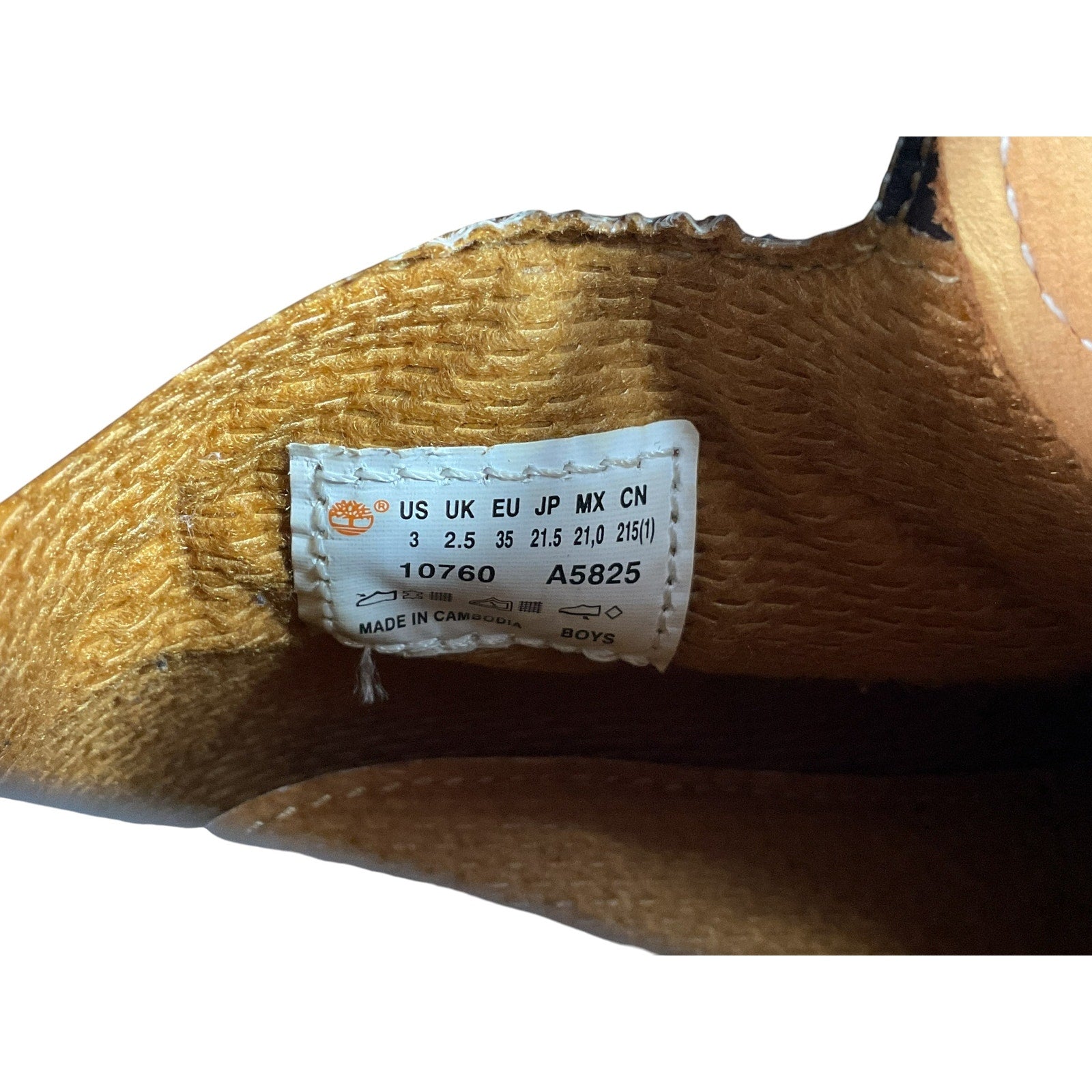 Zapato niño 3 (Timberland)