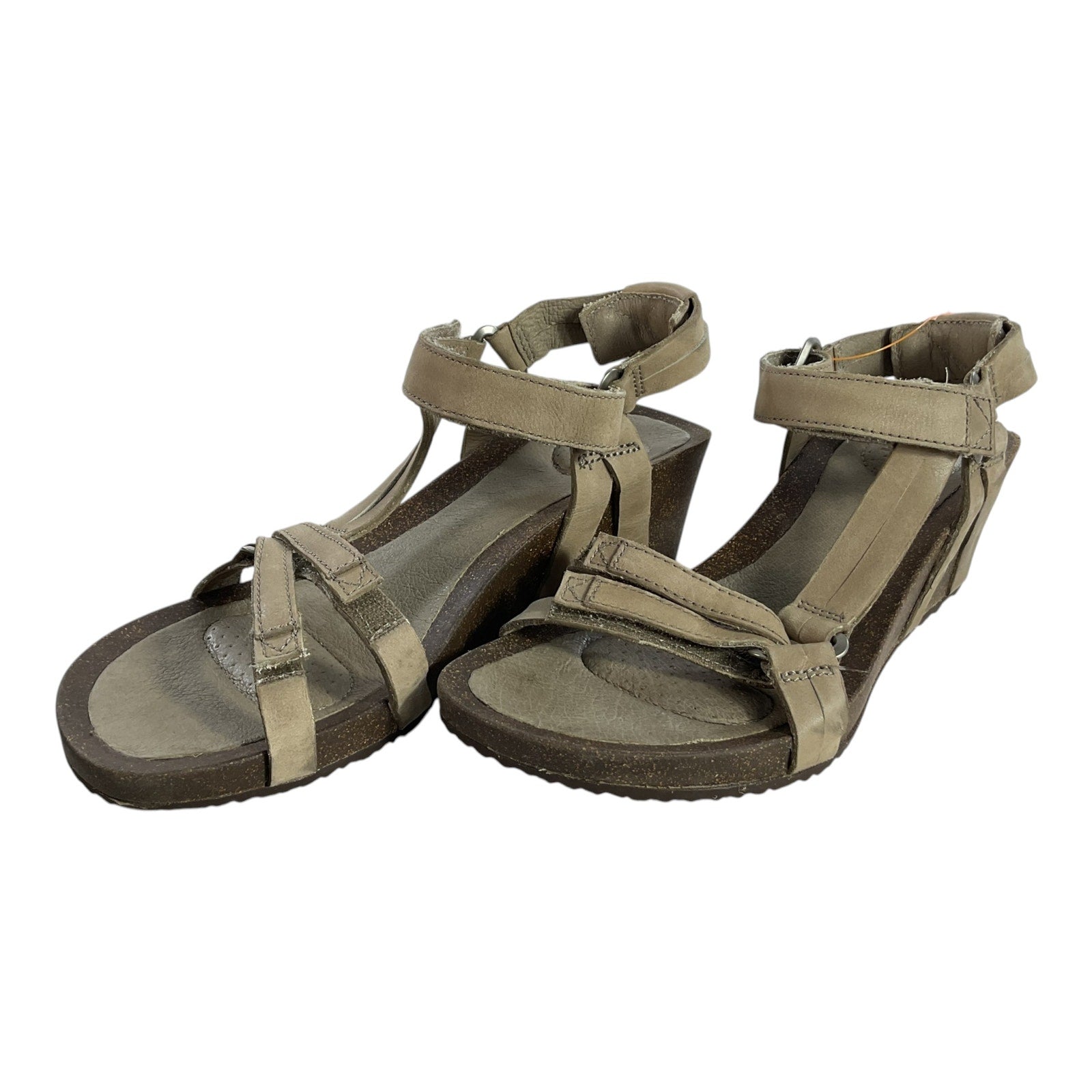 Plataforma 6.5 (Teva)