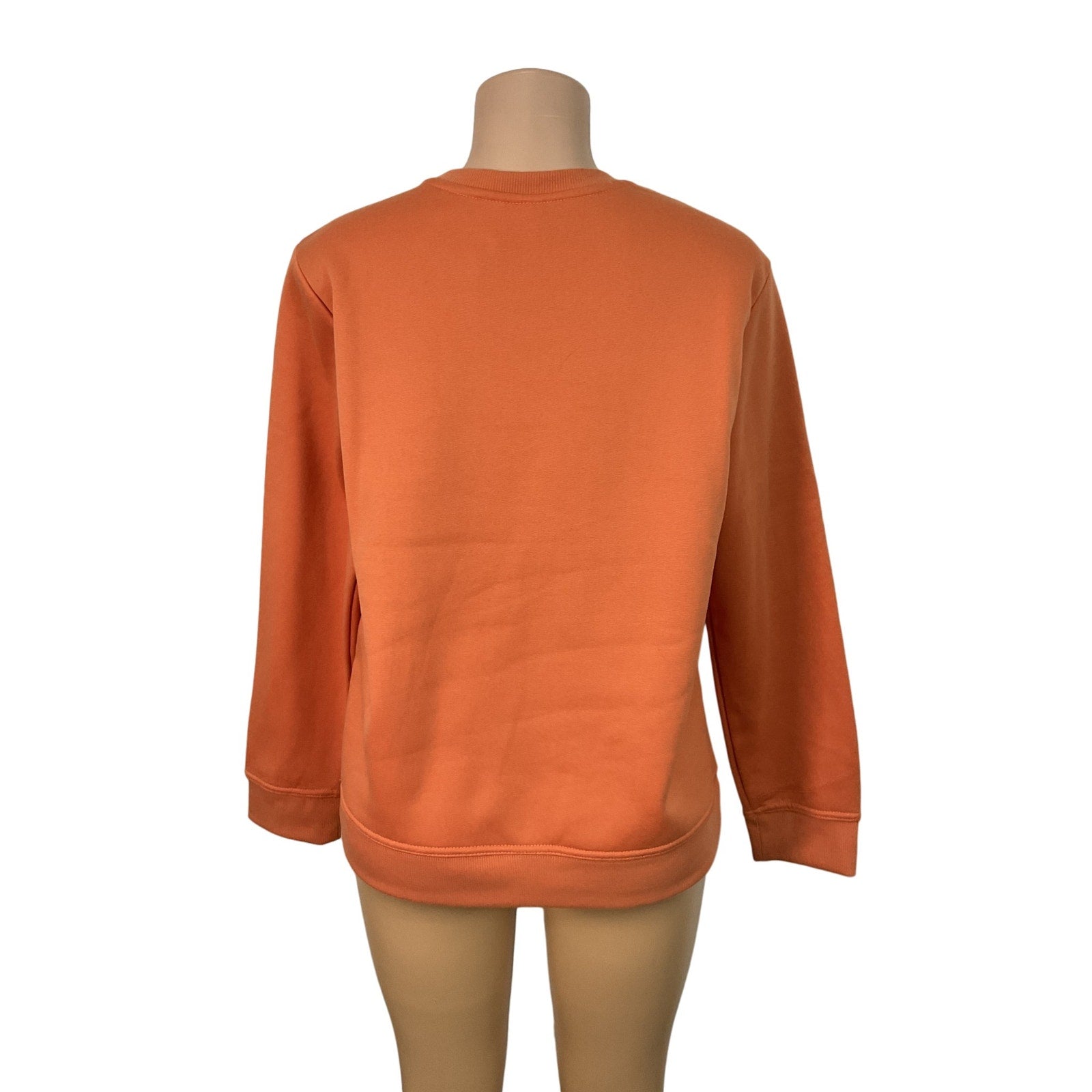 Sueter L (Gap)