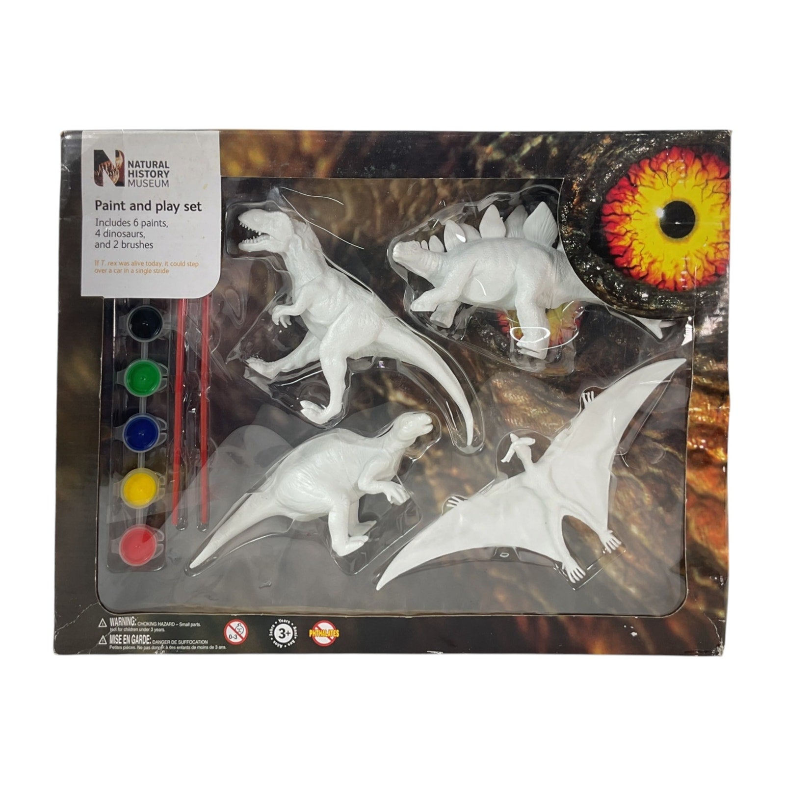 Kit de pintura de dinosaurios para niños (Natural History Museum)