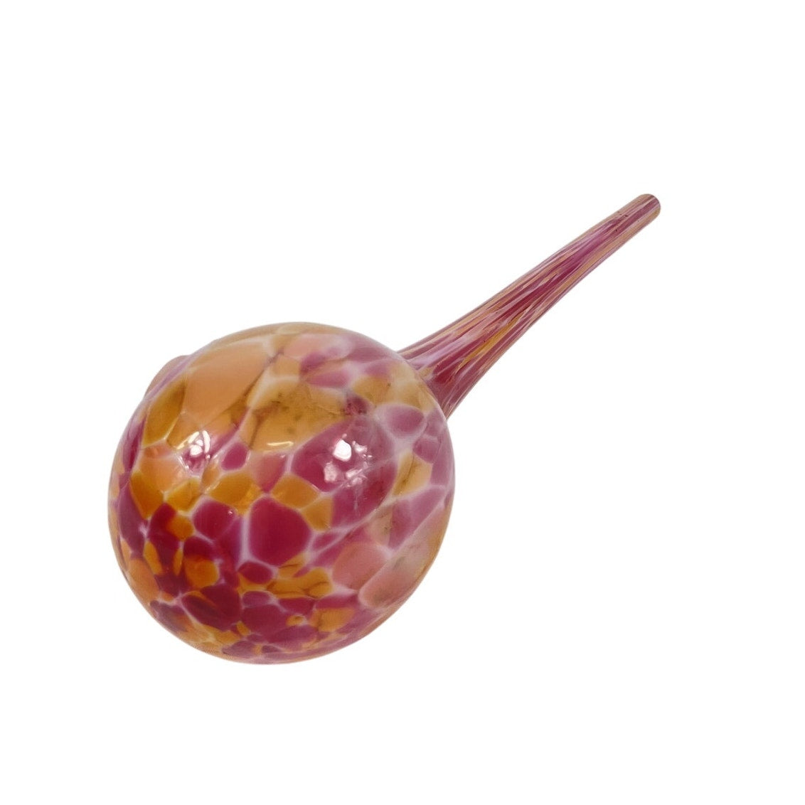 Megapaca