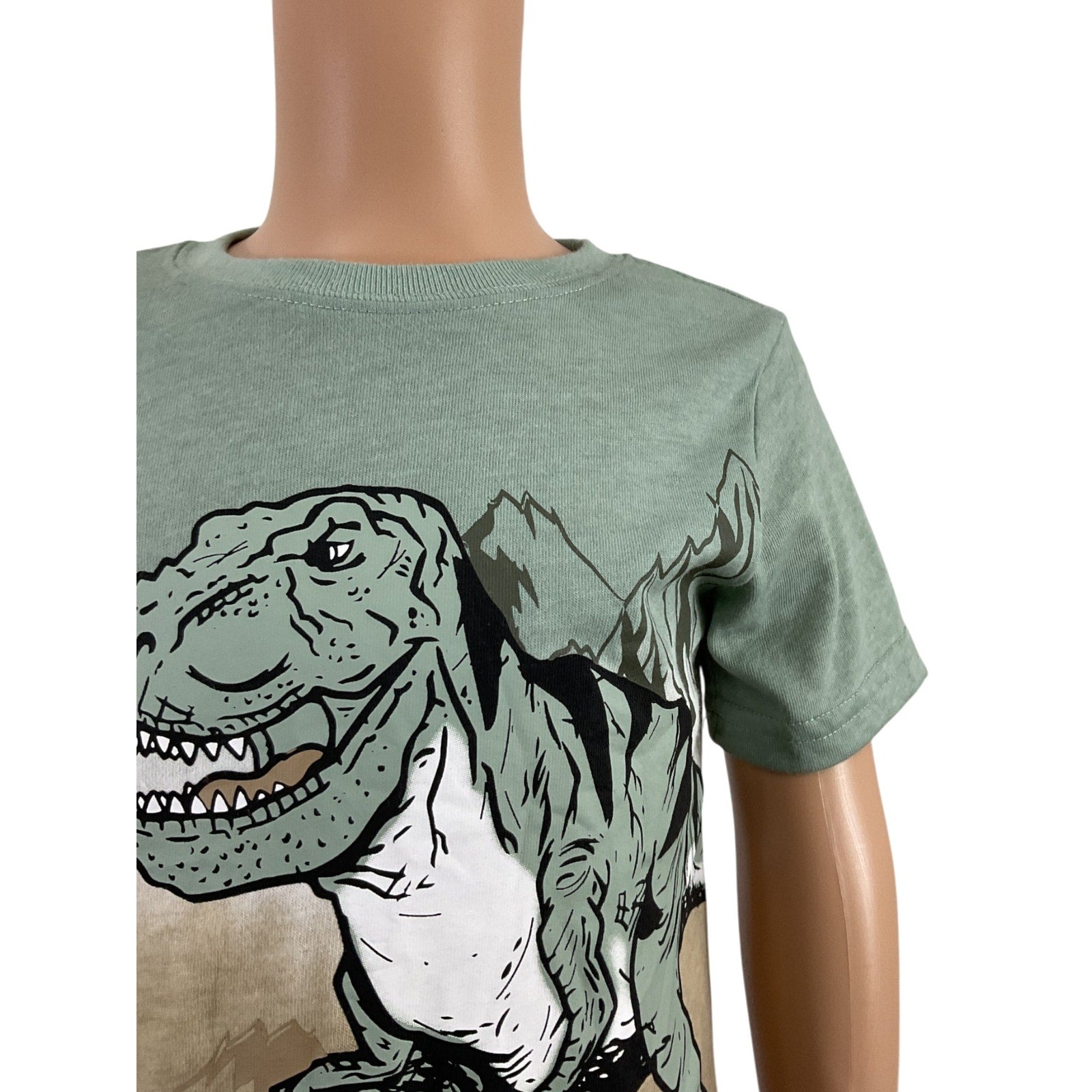 Camisa 3T (GARANIMALS)