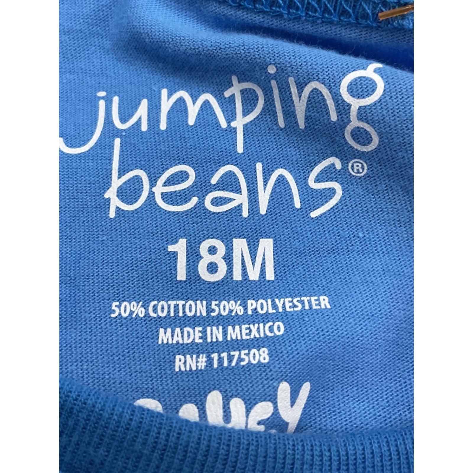 Camisa niño 18M (Jumping Beans)