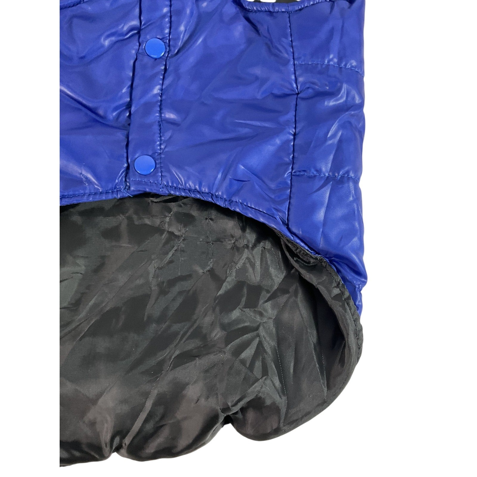 Traje para perro