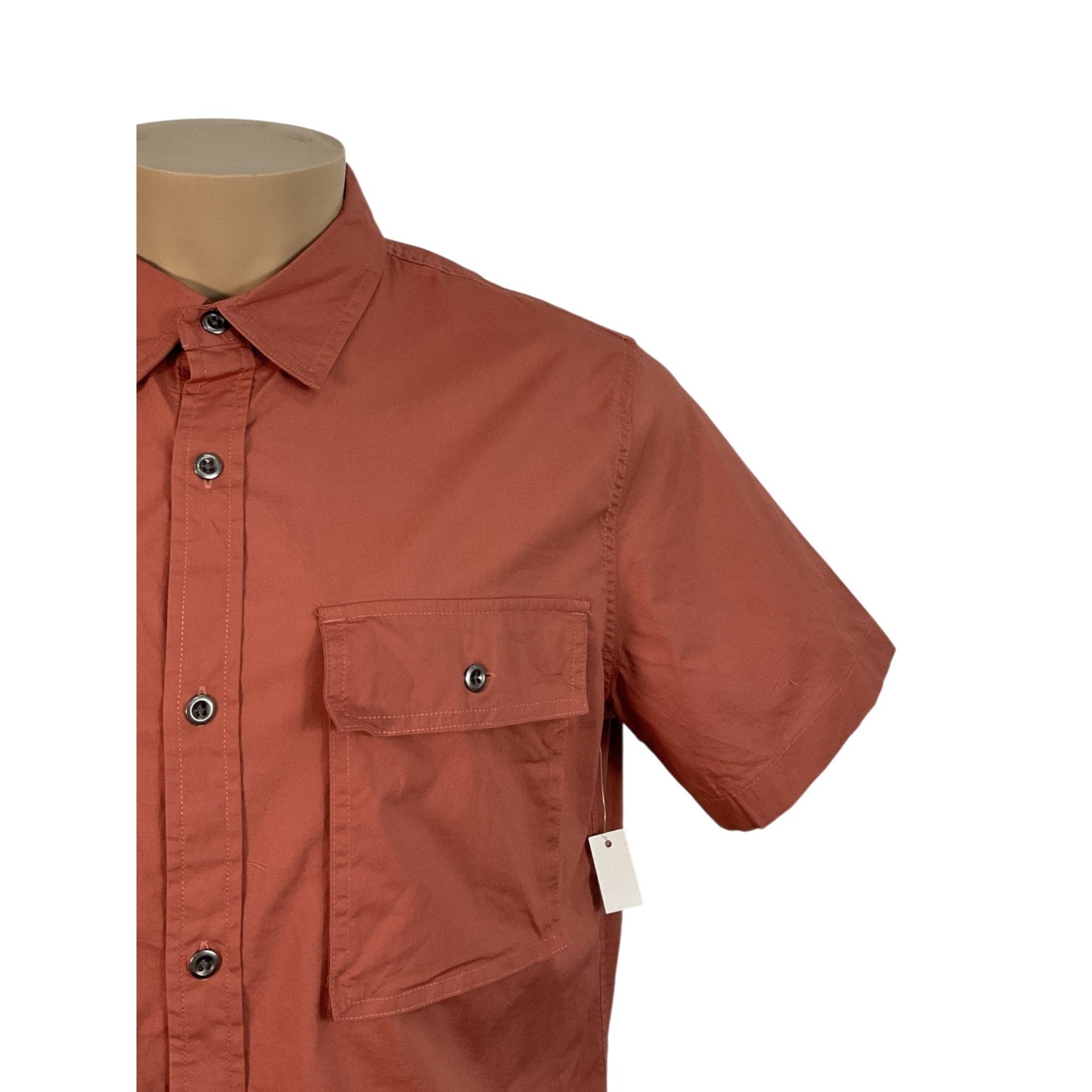 Camisa L (Amazon Essentials)